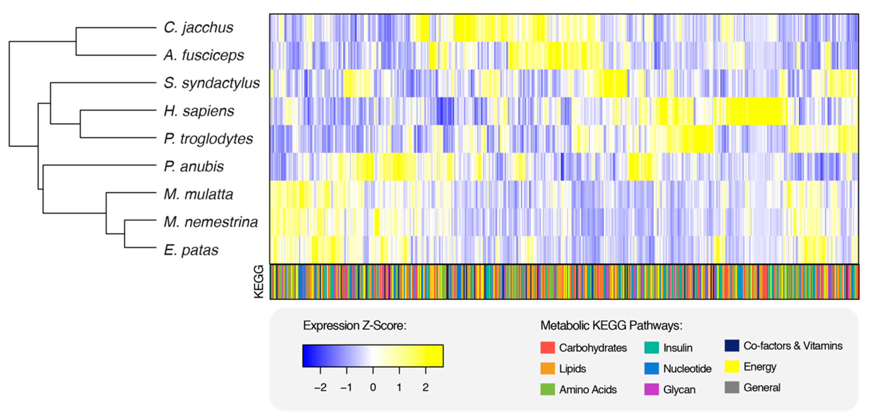 Genes 16 00117 g003