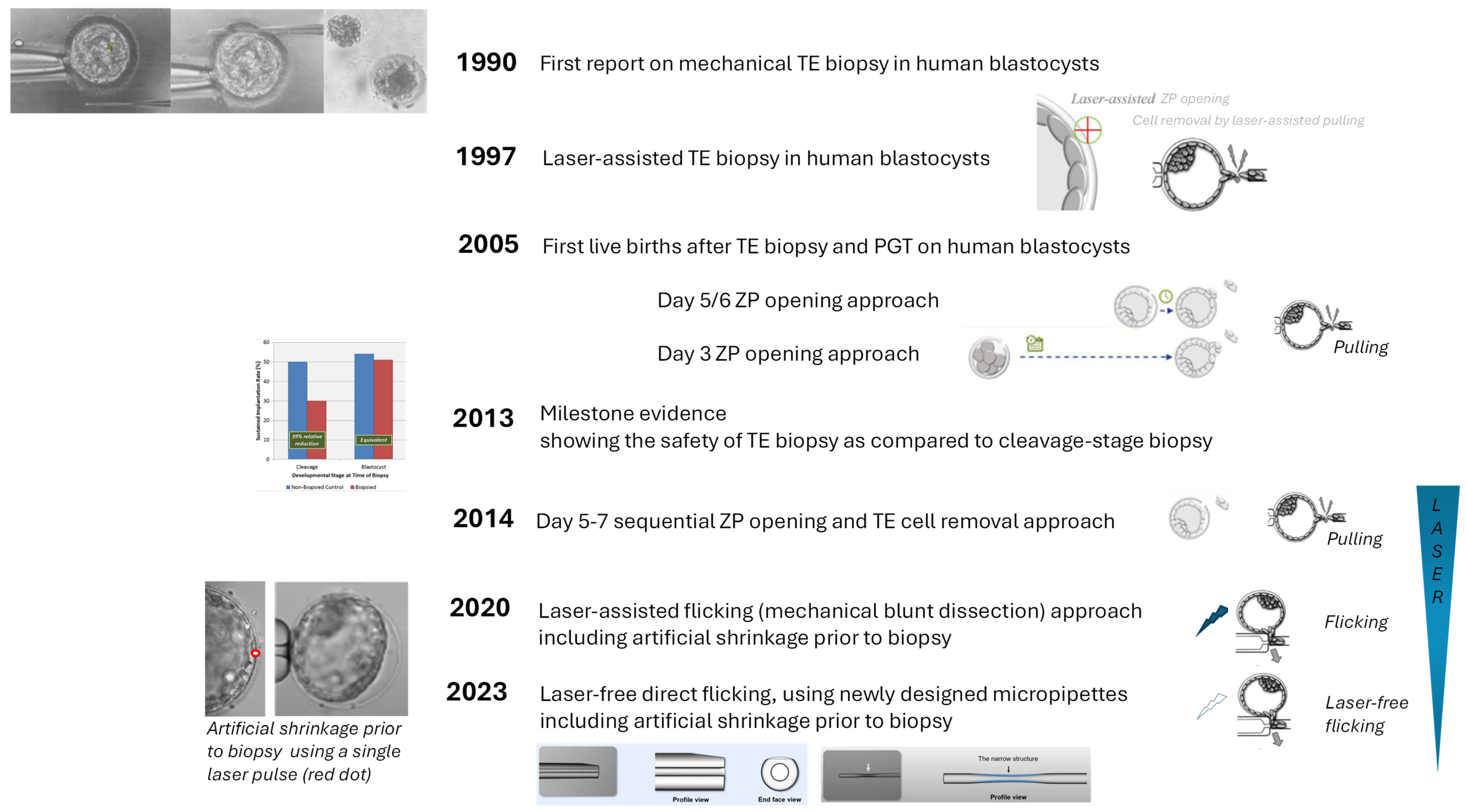 Trophectoderm Biopsy: Present State of the Art | MDPI