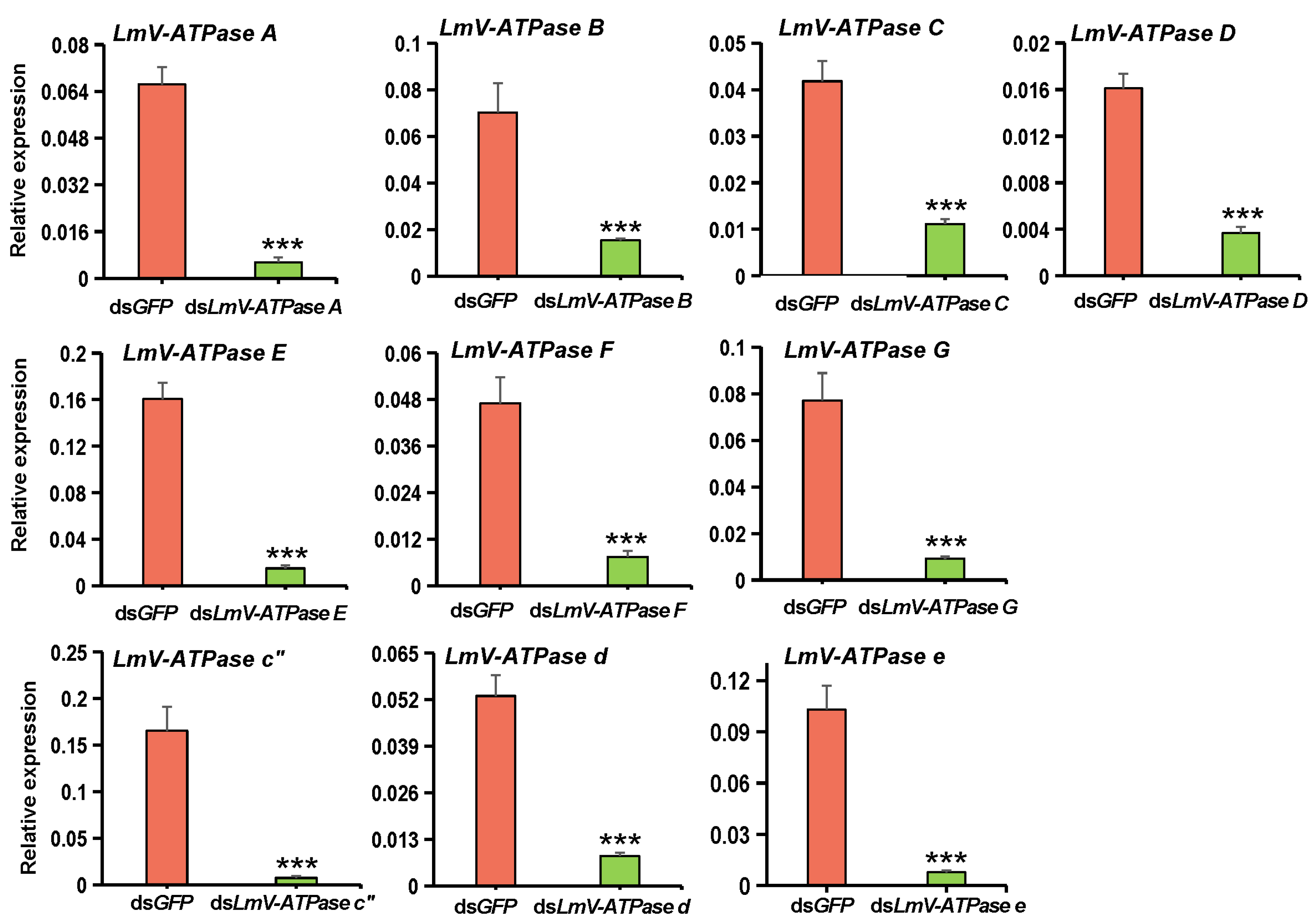 Genes 16 00145 g004