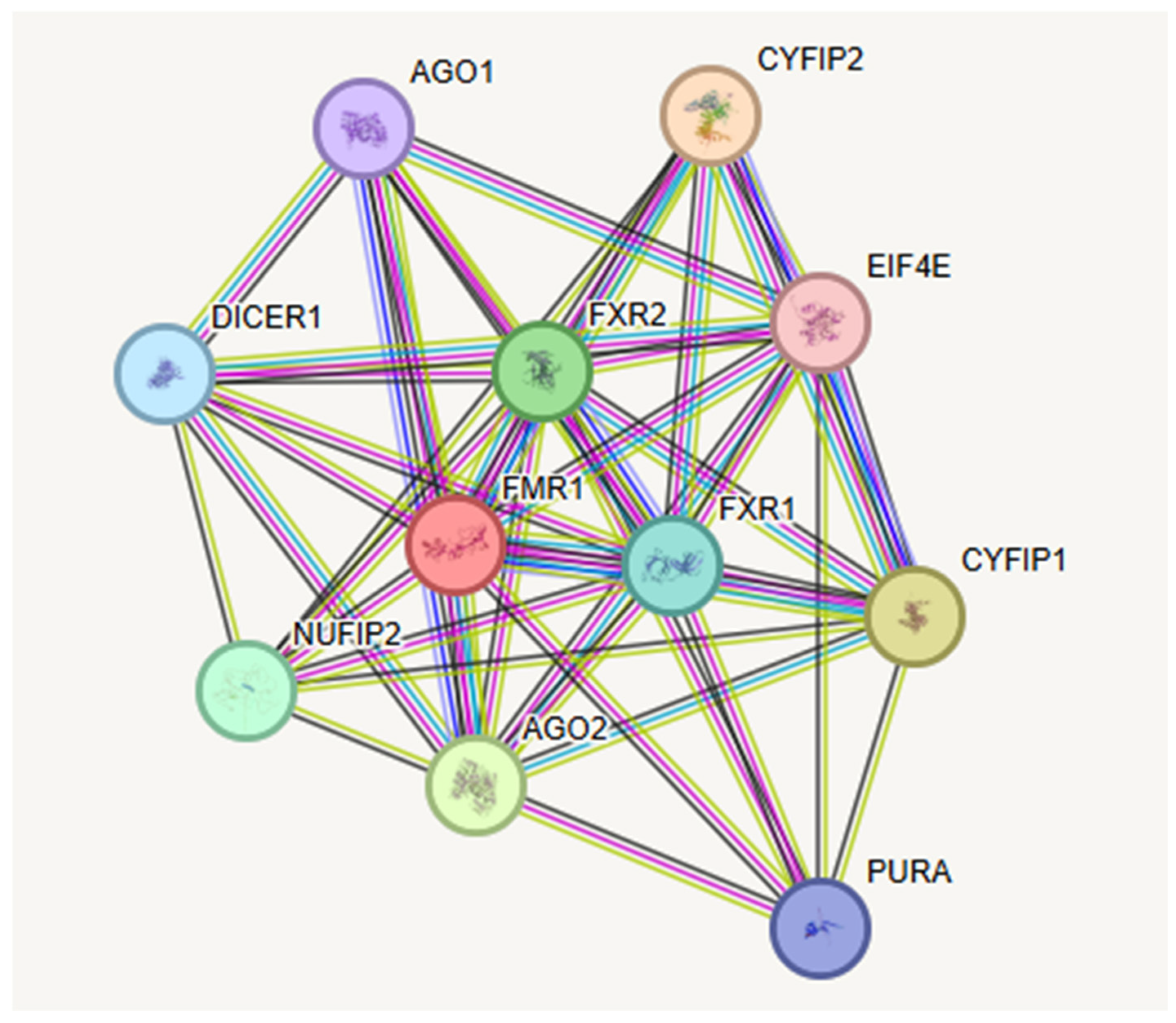 Genes 16 00149 g001