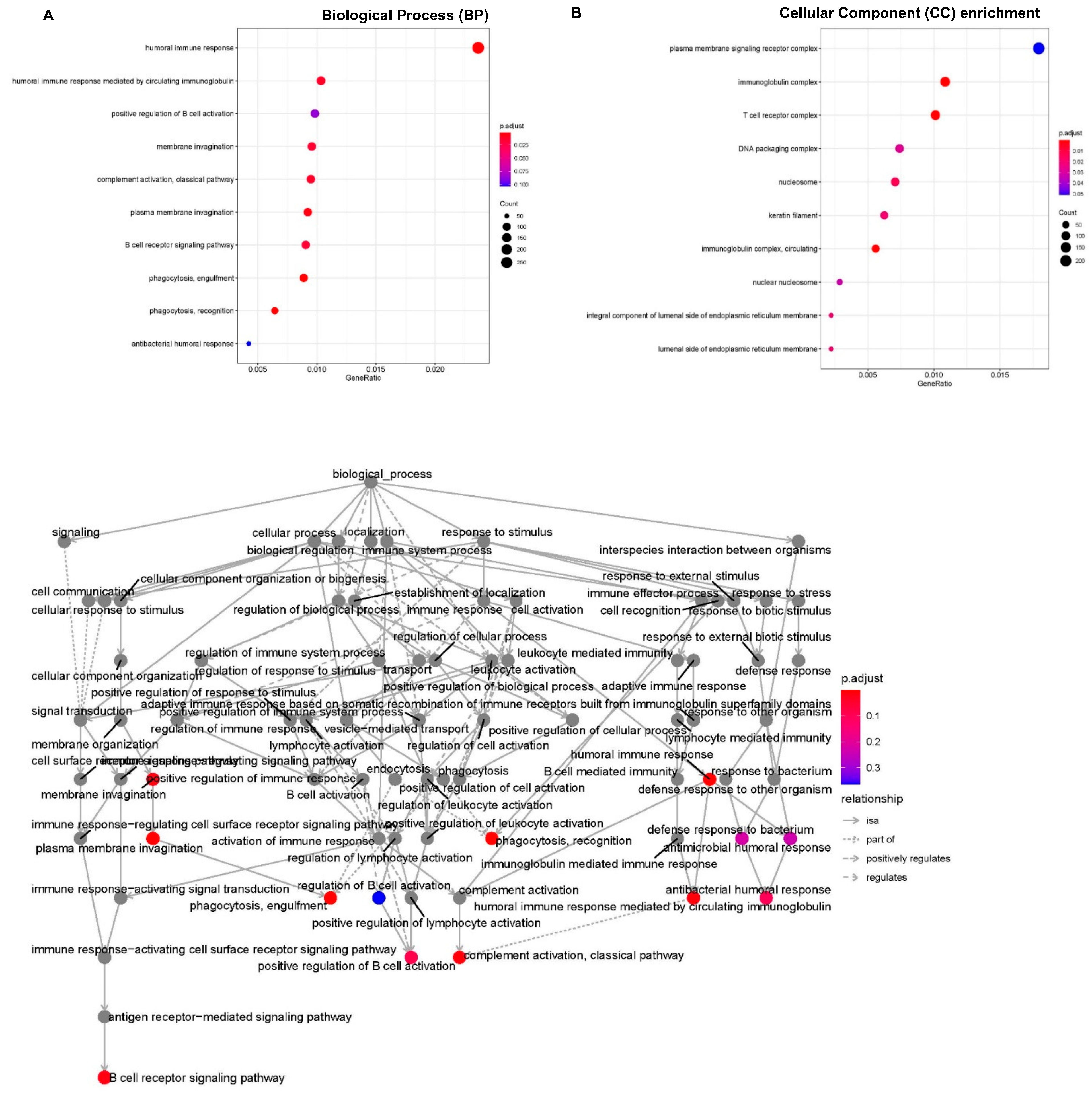 Genes 16 00162 g005