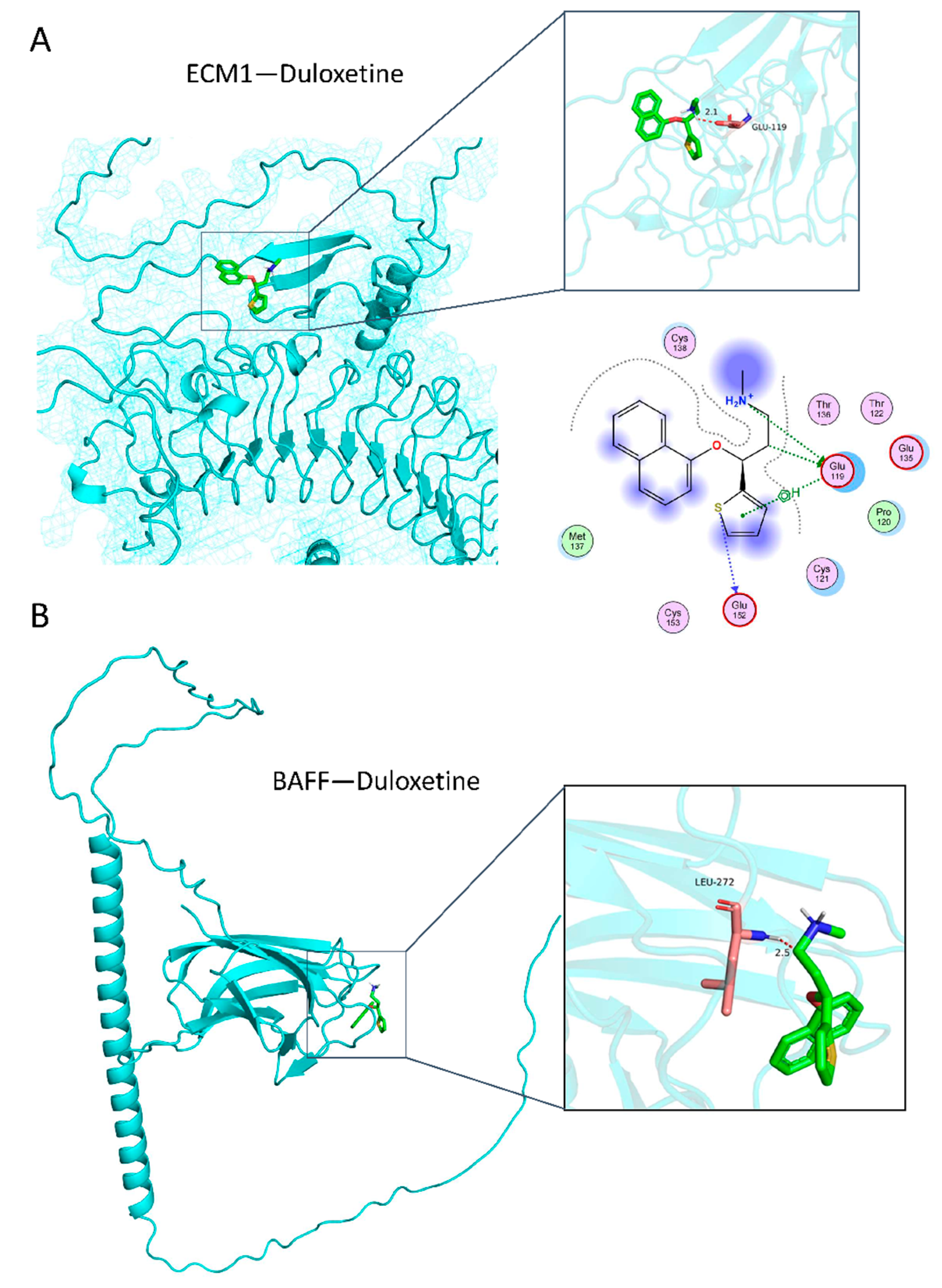 Genes 16 00162 g006