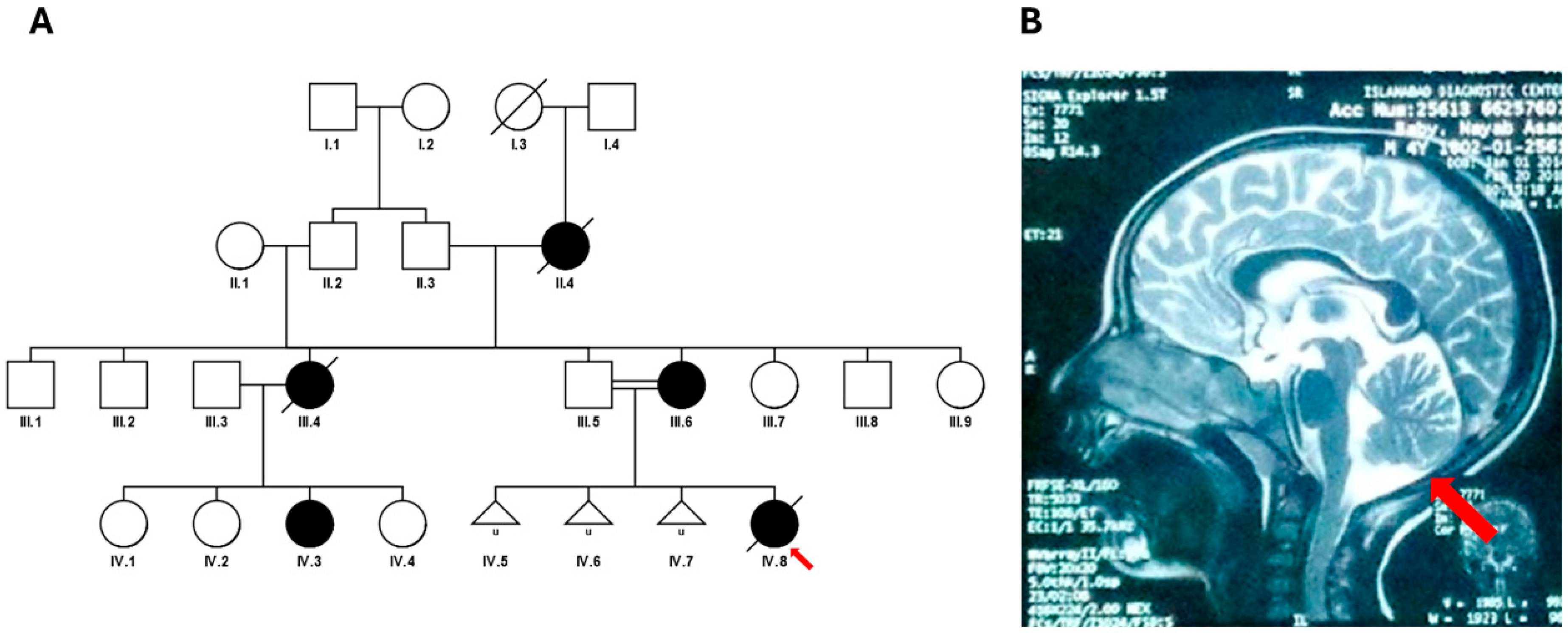 Genes 16 00169 g004