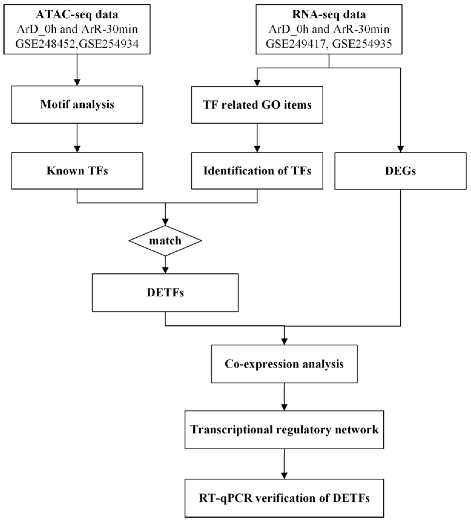 Genes 16 00175 g001