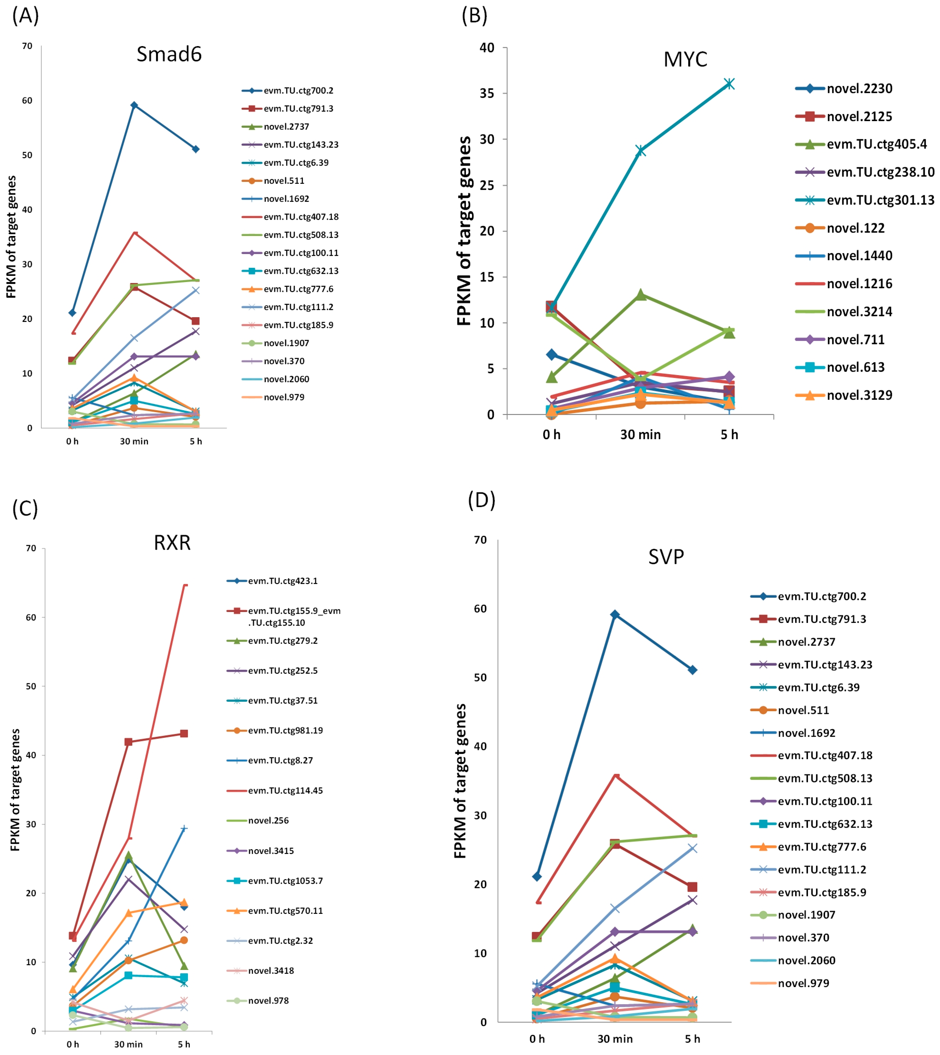 Genes 16 00175 g005
