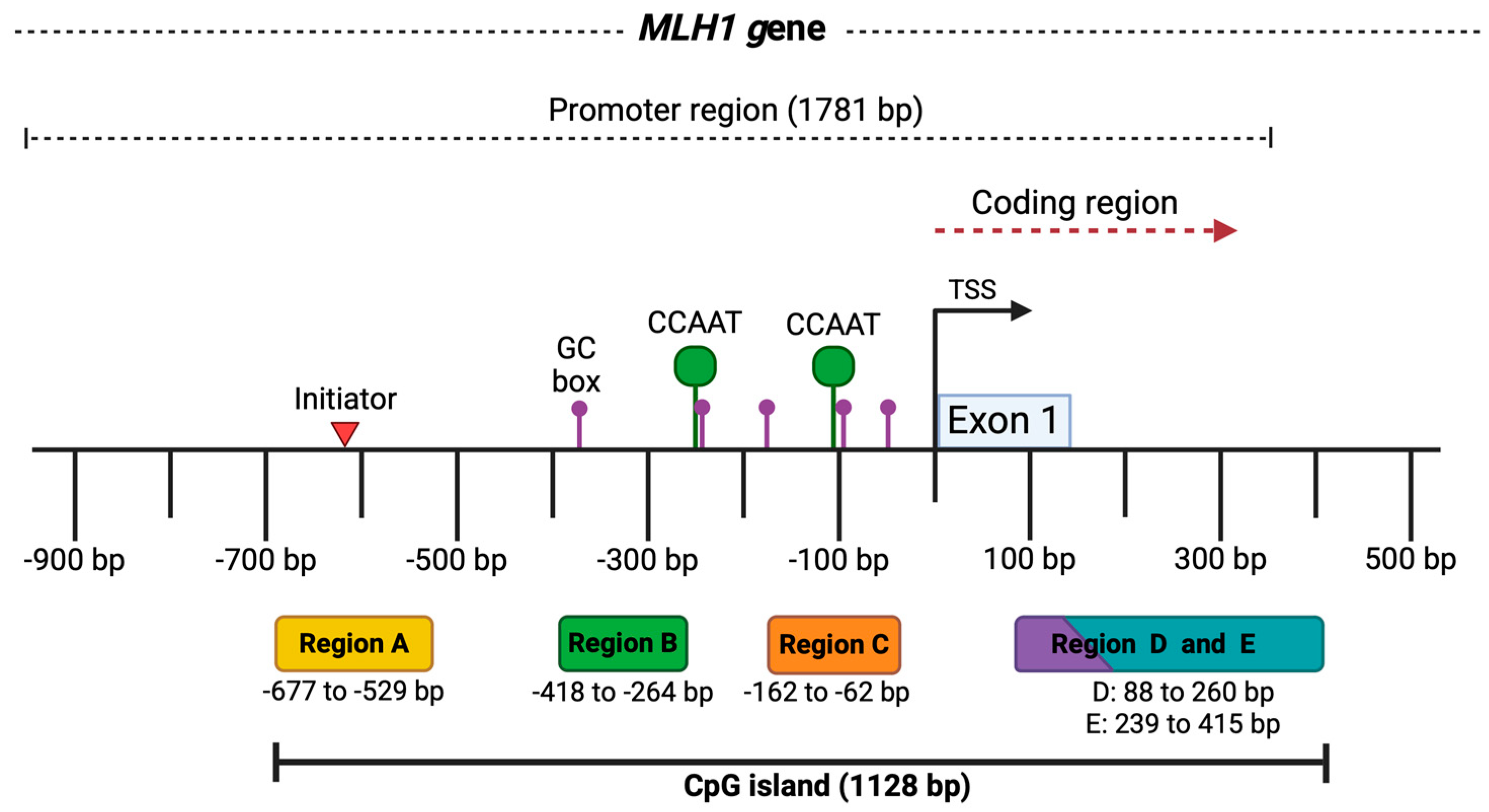 Genes 16 00182 g001