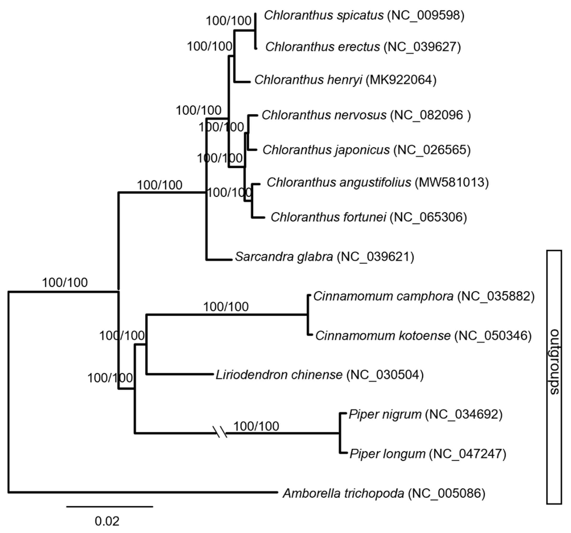 Genes 16 00186 g002