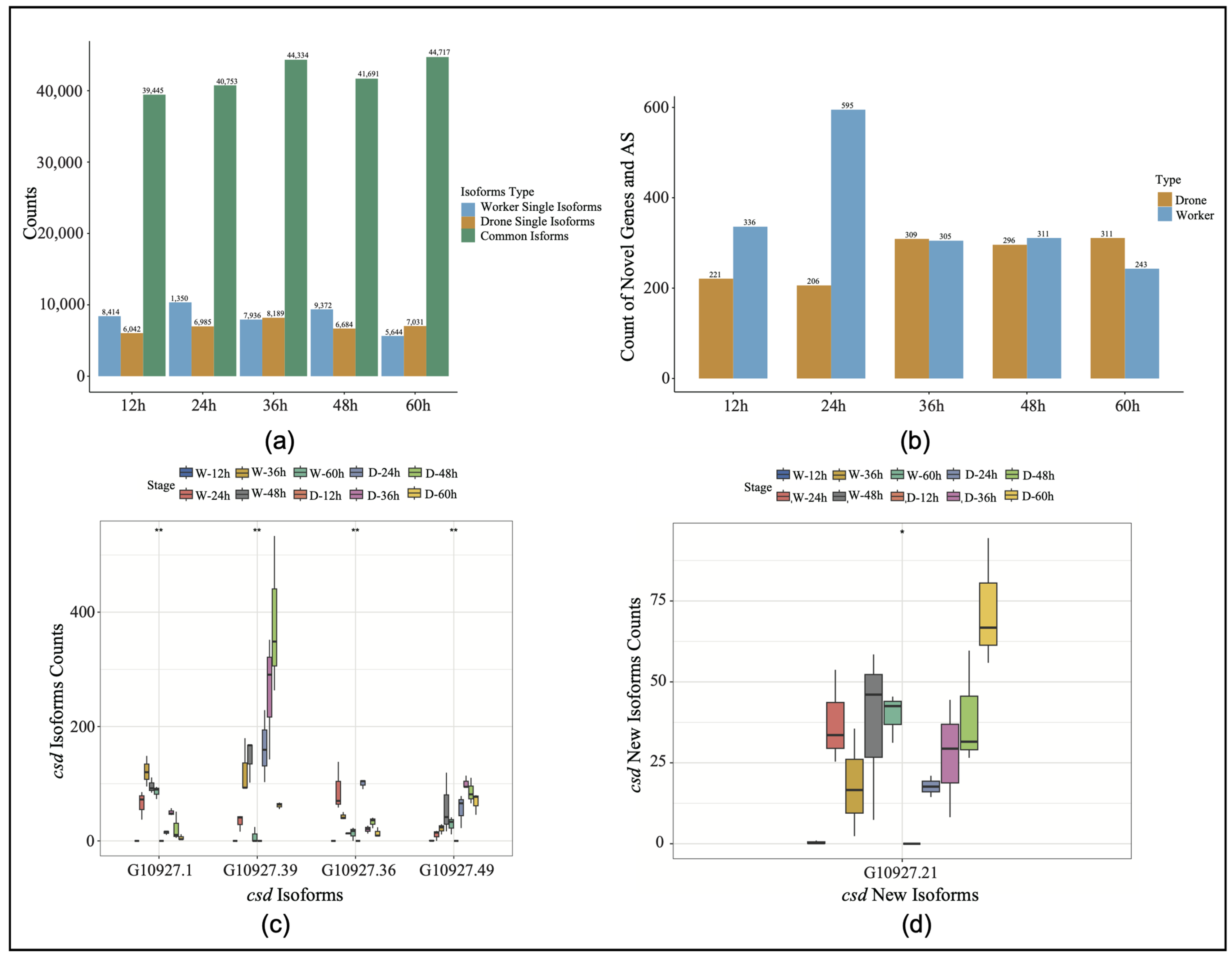 Genes 16 00187 g001