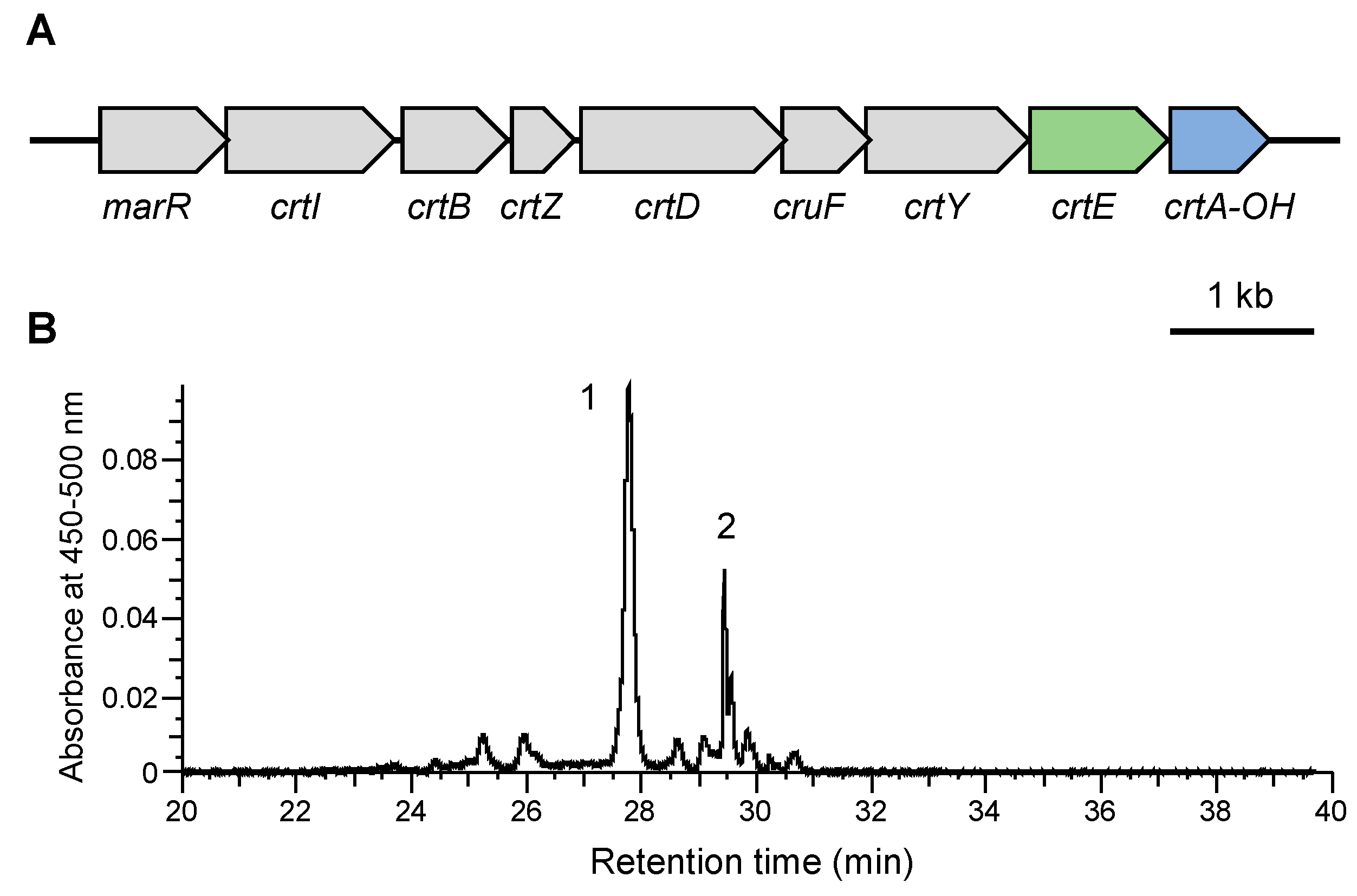 Genes 16 00202 g005 Genes 16 00202 g005