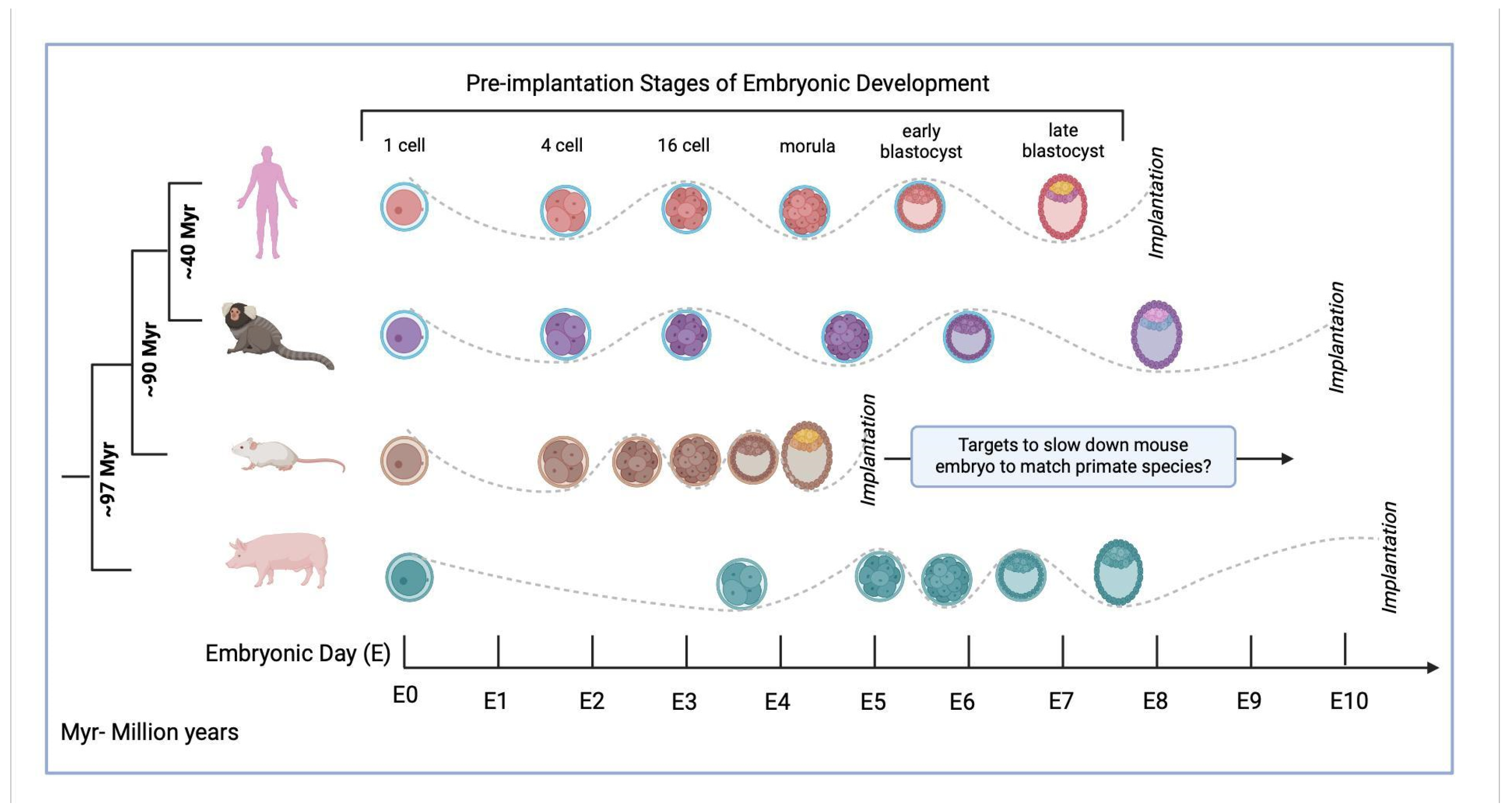 Genes 16 00215 g002 Genes 16 00215 g002