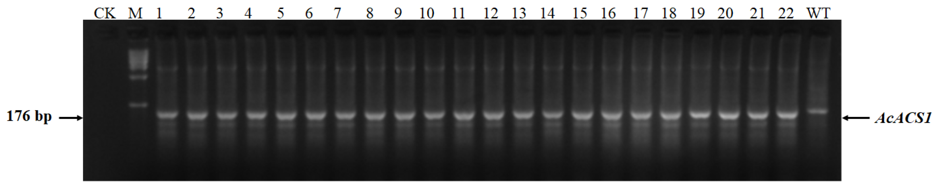 Genes 16 00217 g003