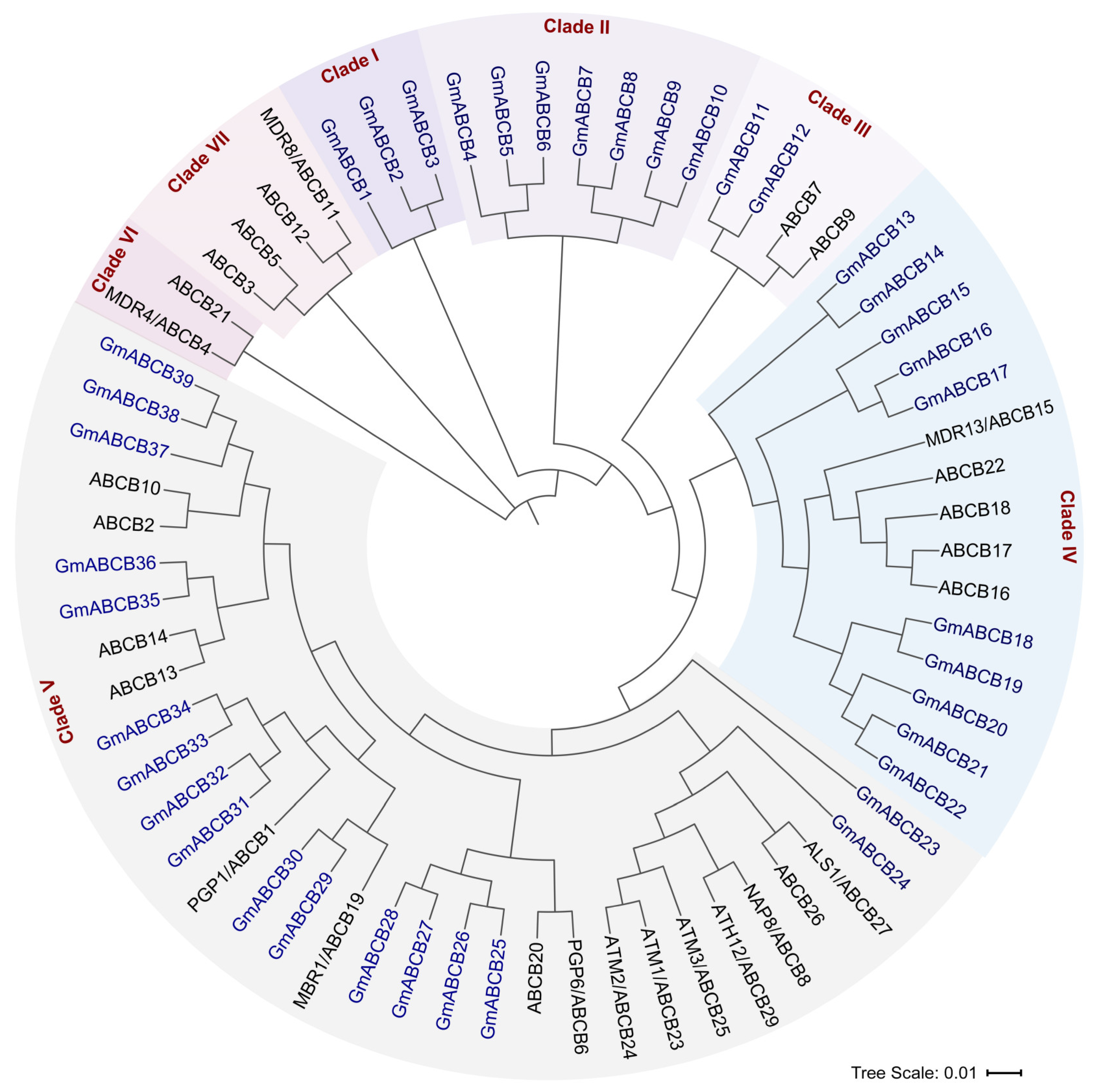 Genes 16 00233 g001