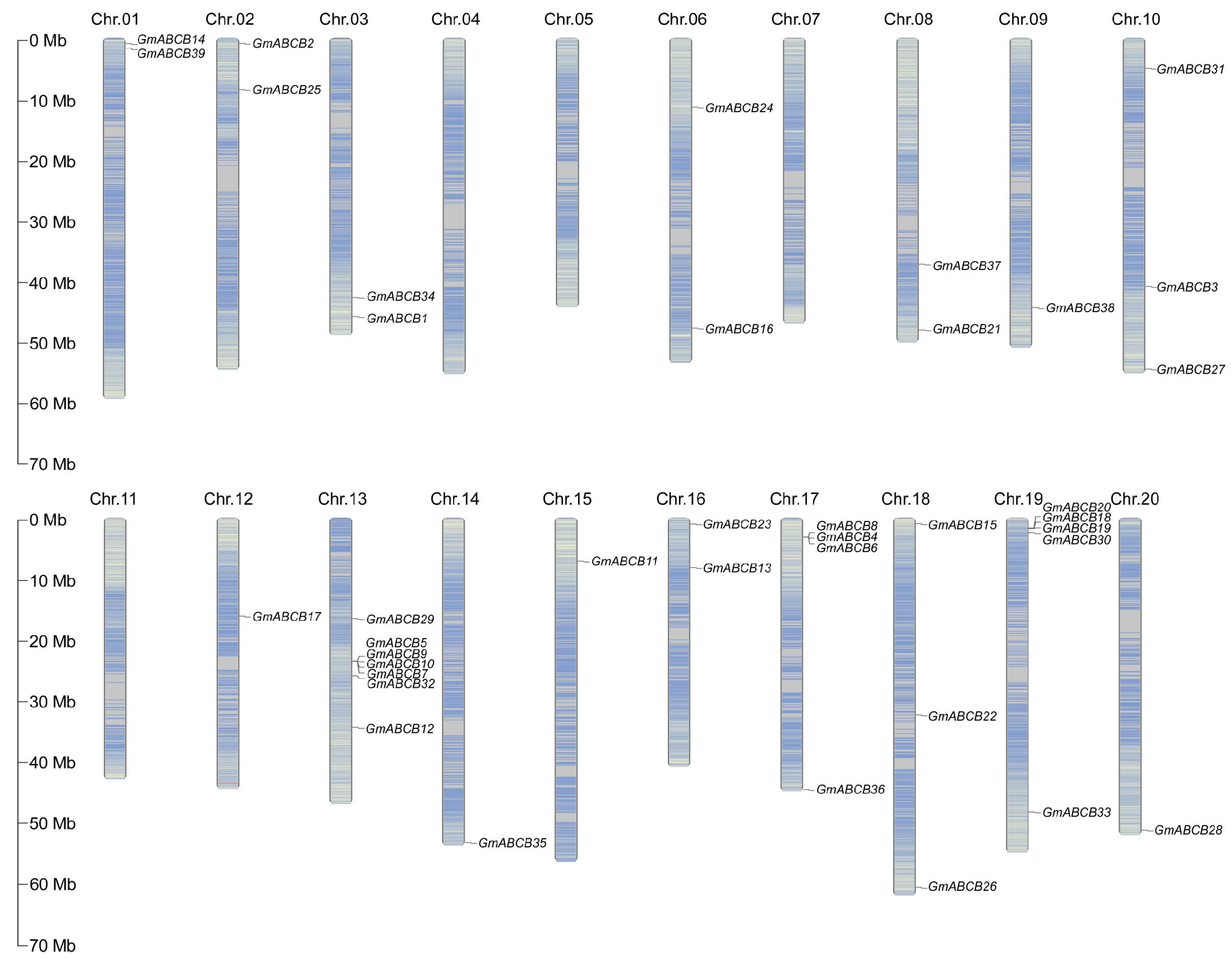 Genes 16 00233 g002
