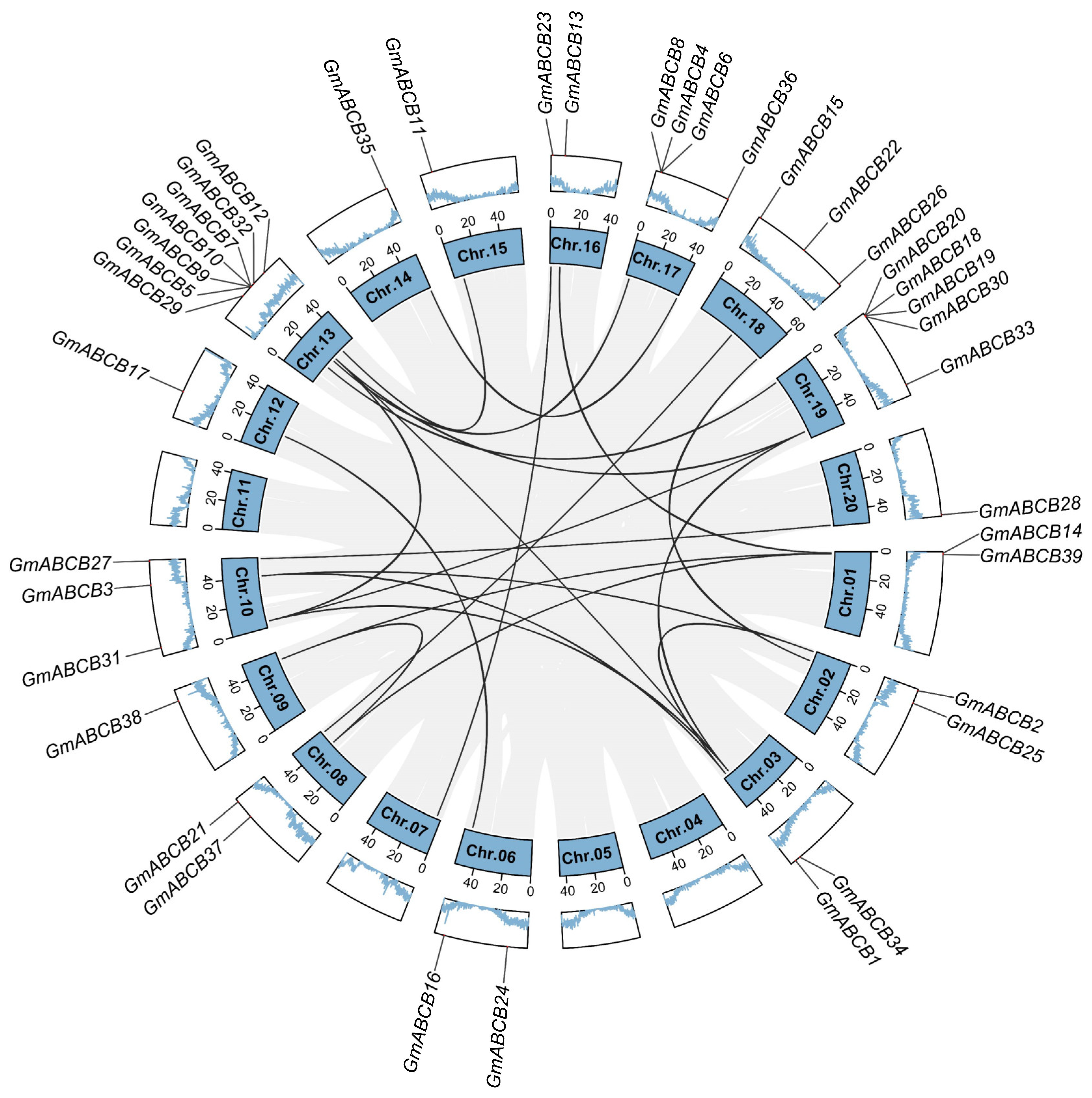 Genes 16 00233 g003