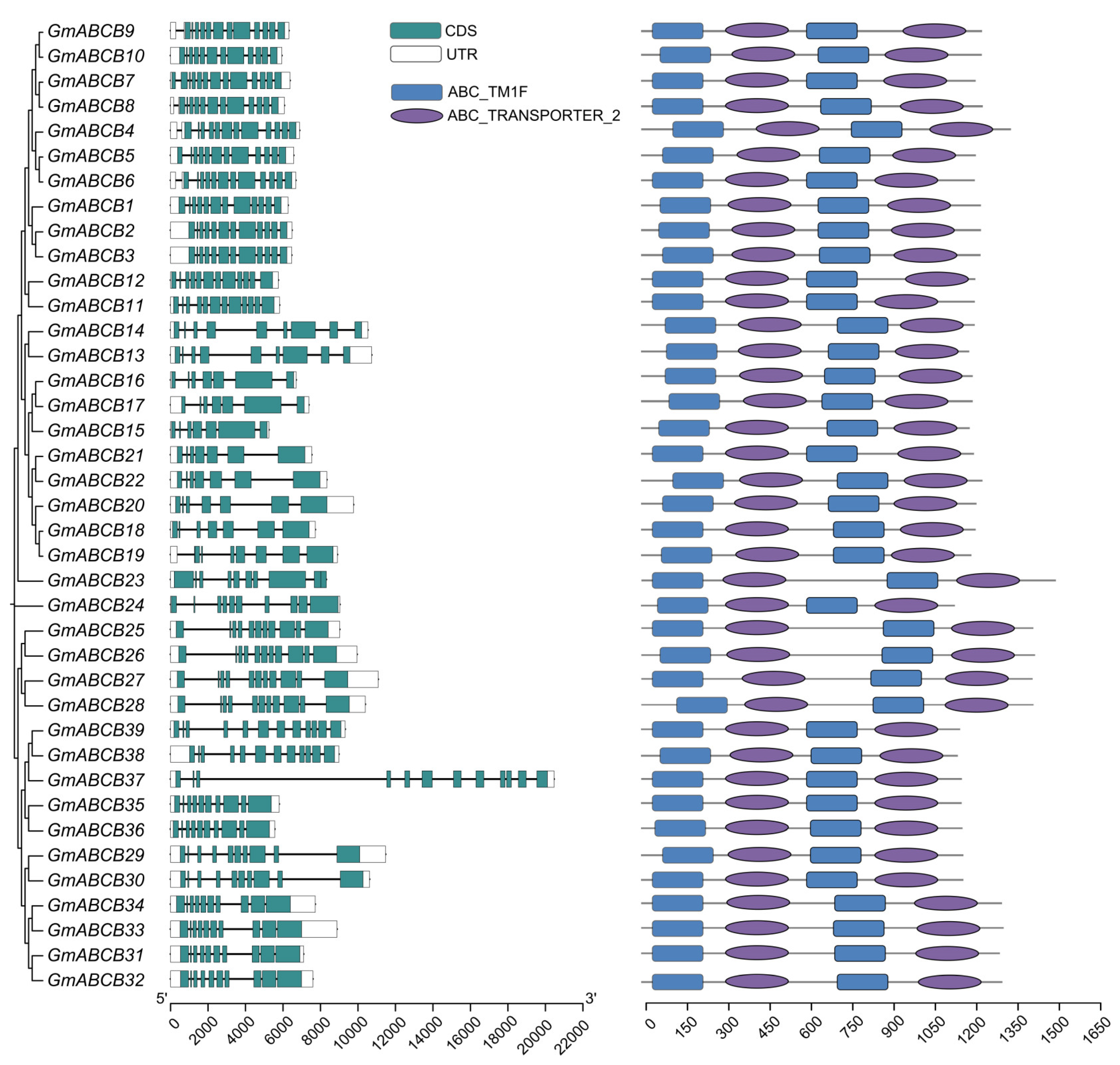 Genes 16 00233 g004