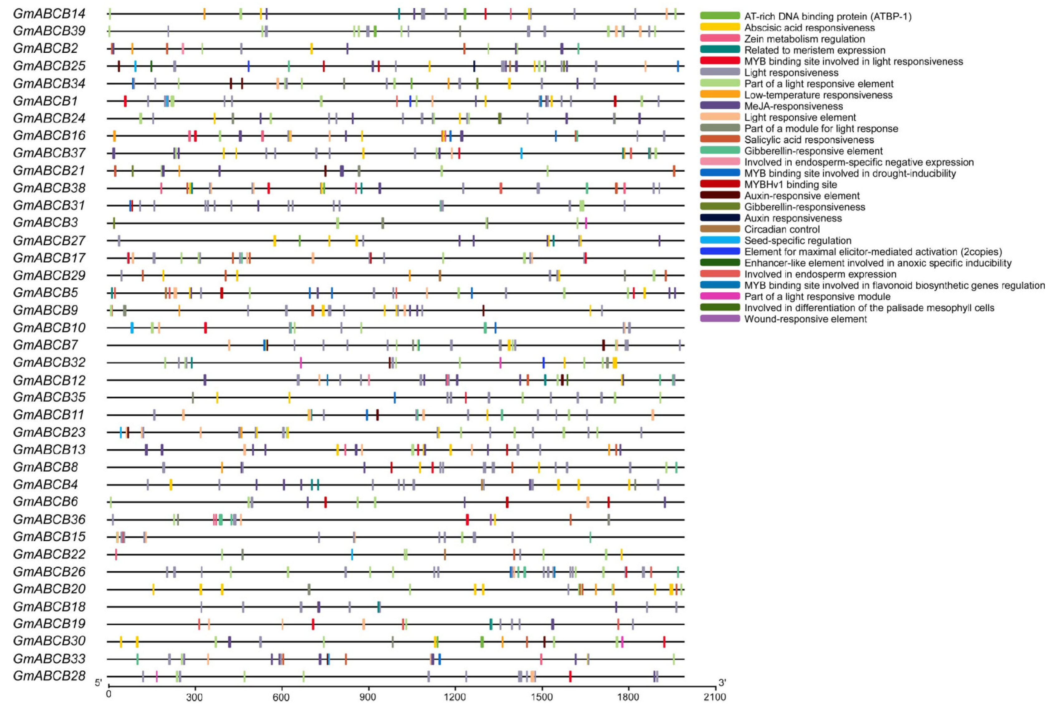 Genes 16 00233 g005
