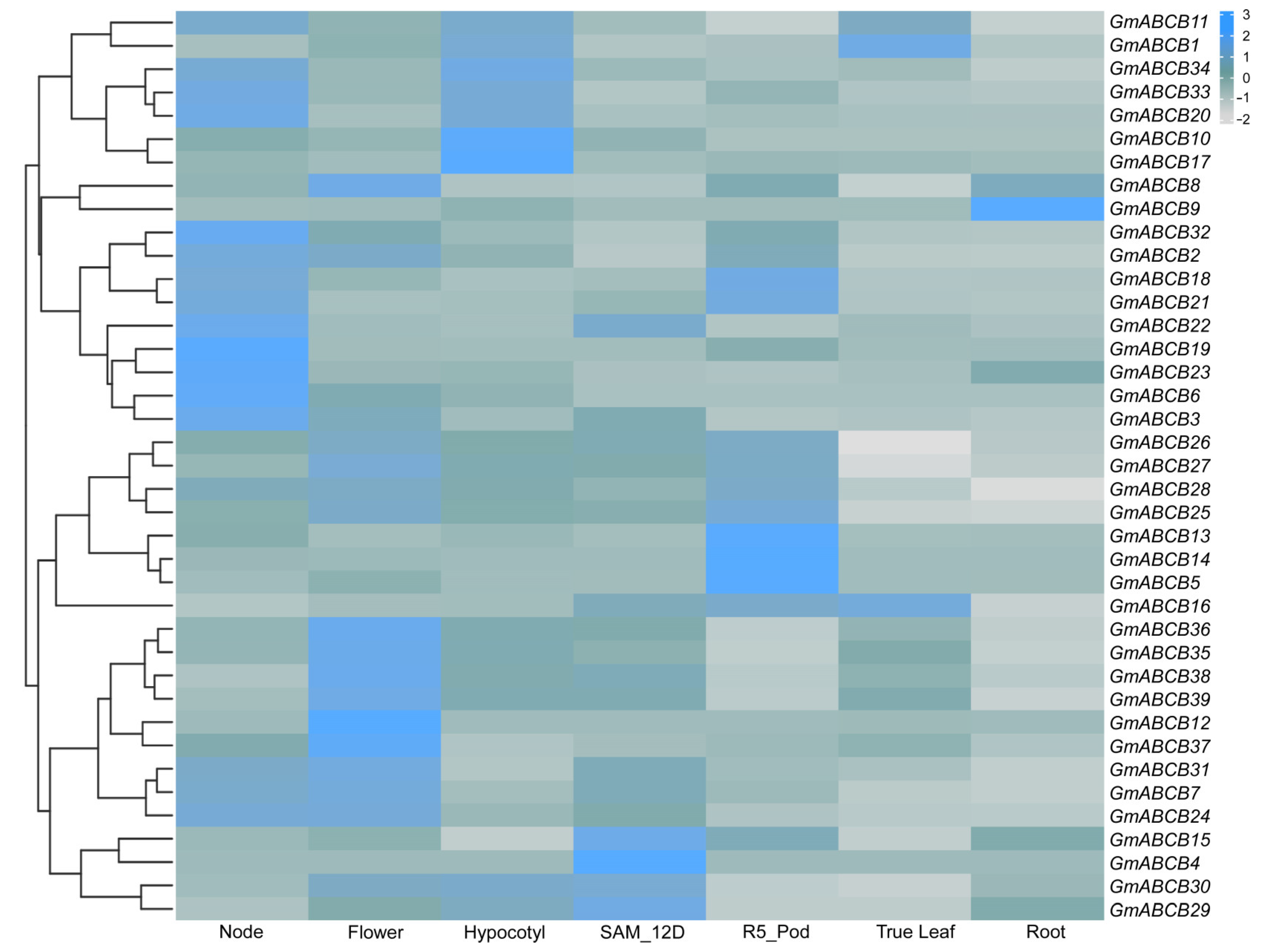 Genes 16 00233 g006