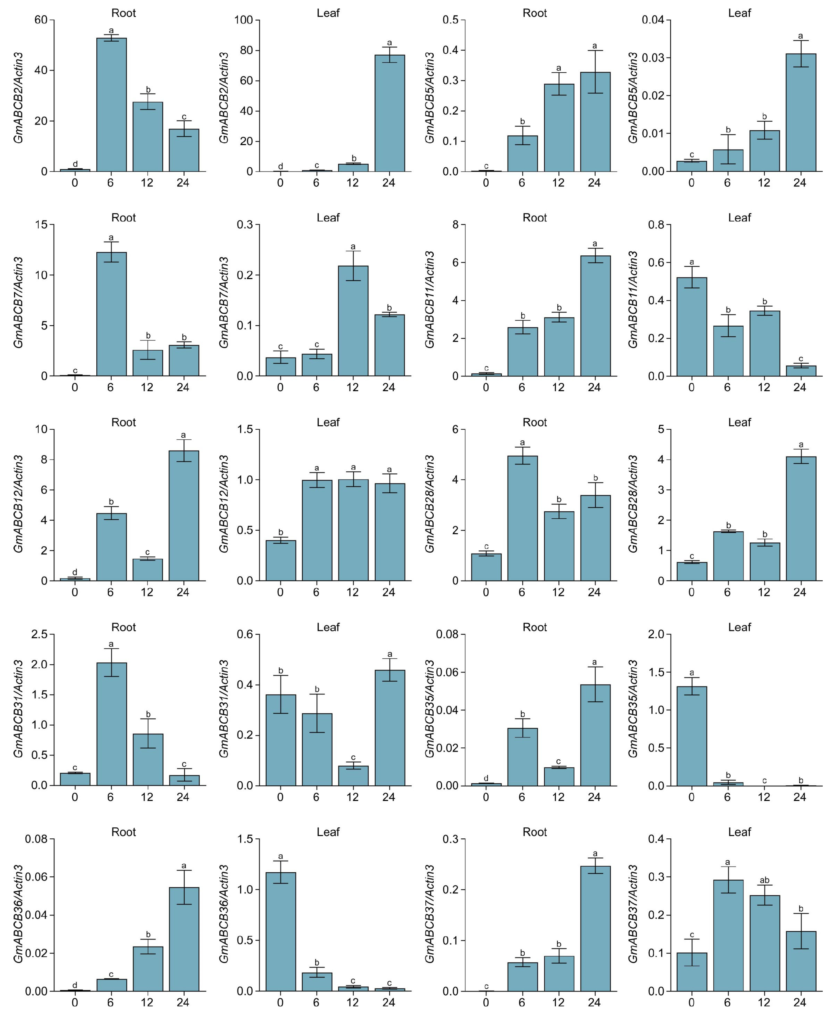 Genes 16 00233 g007