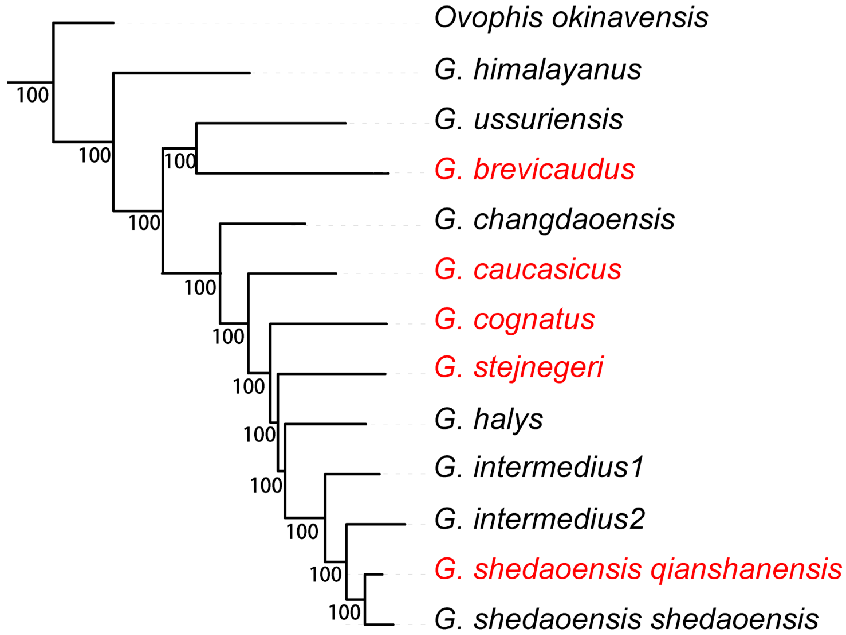 Genes 16 00276 g002 Genes 16 00276 g002