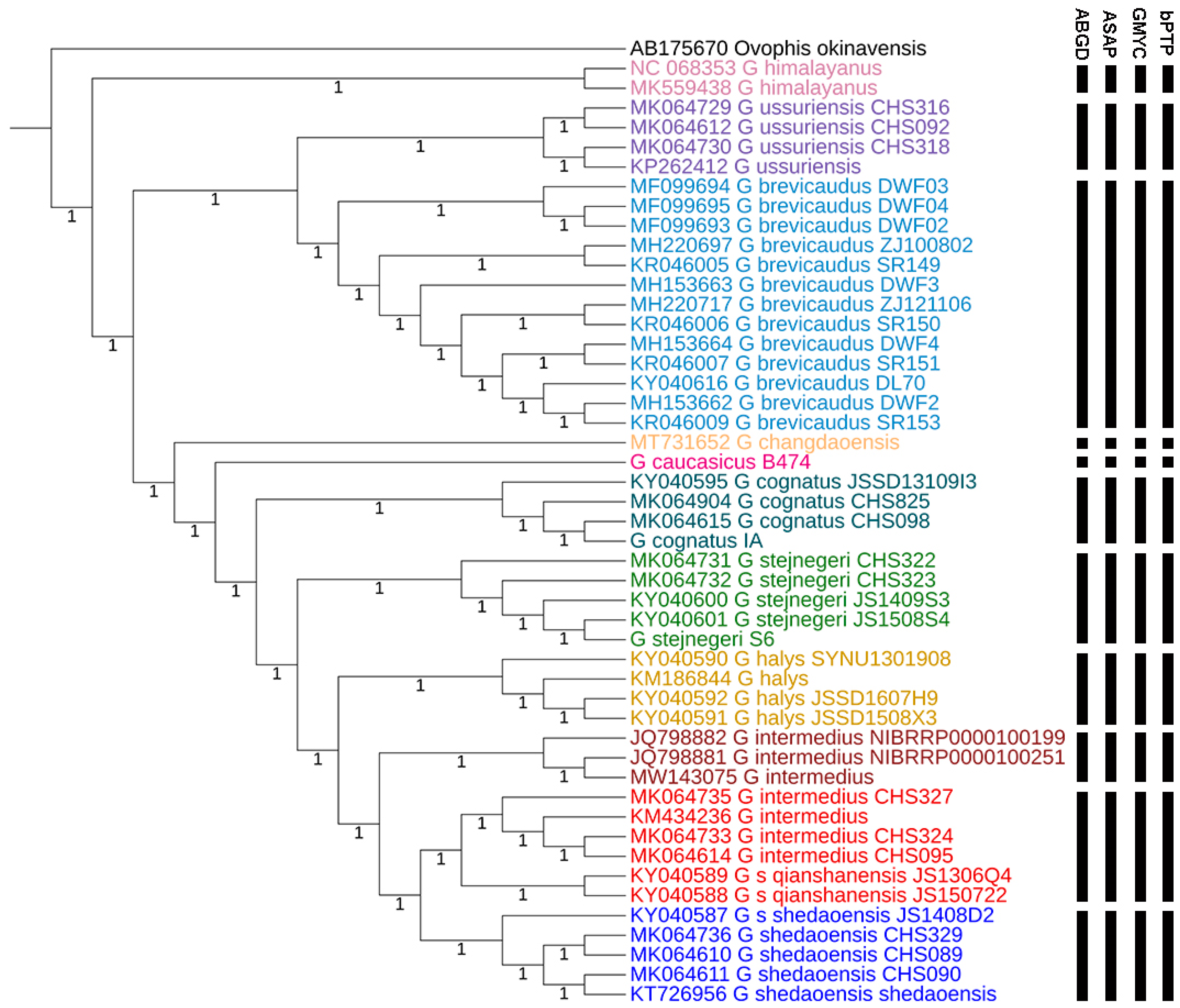Genes 16 00276 g003 Genes 16 00276 g003