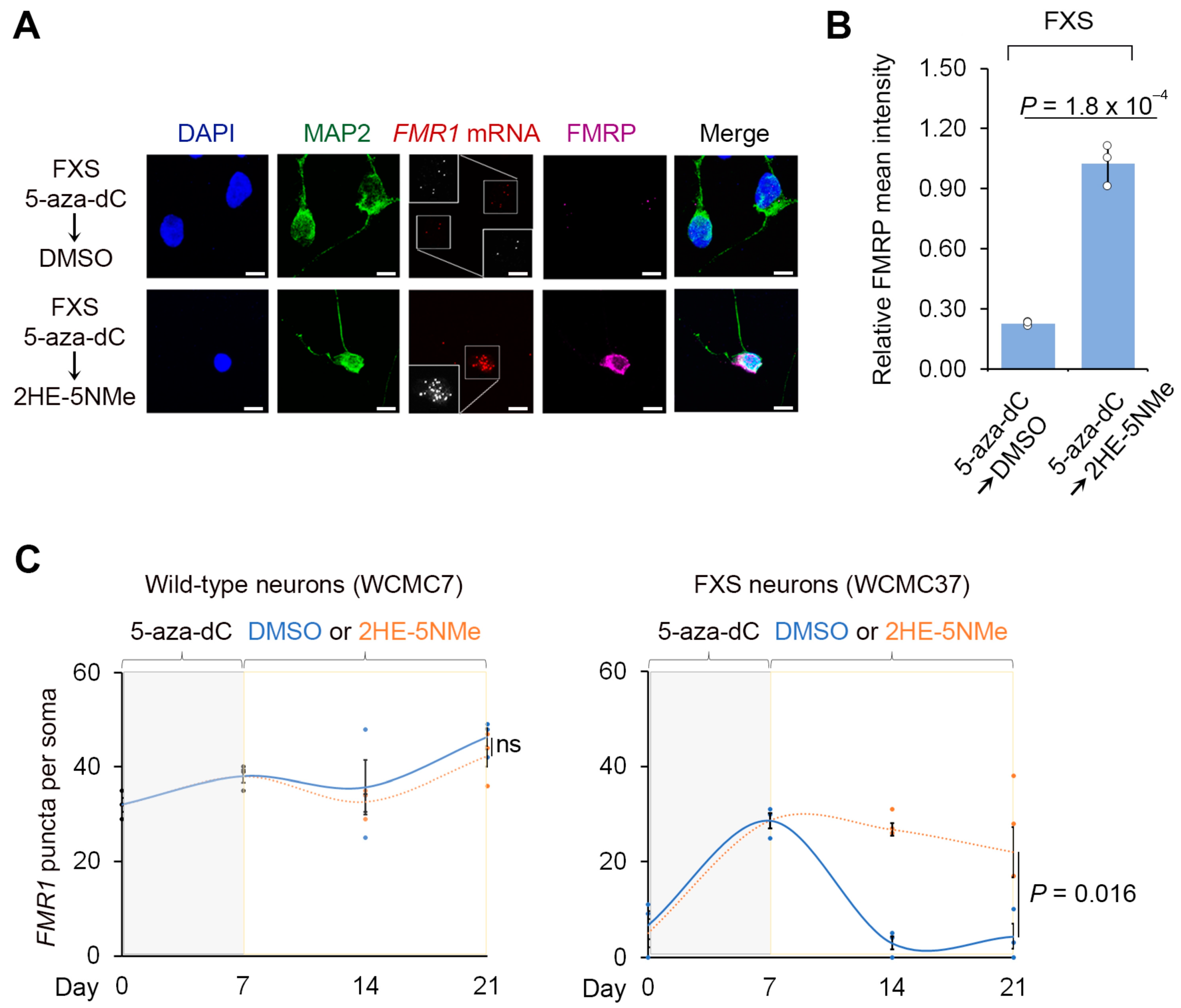 Genes 16 00278 g002