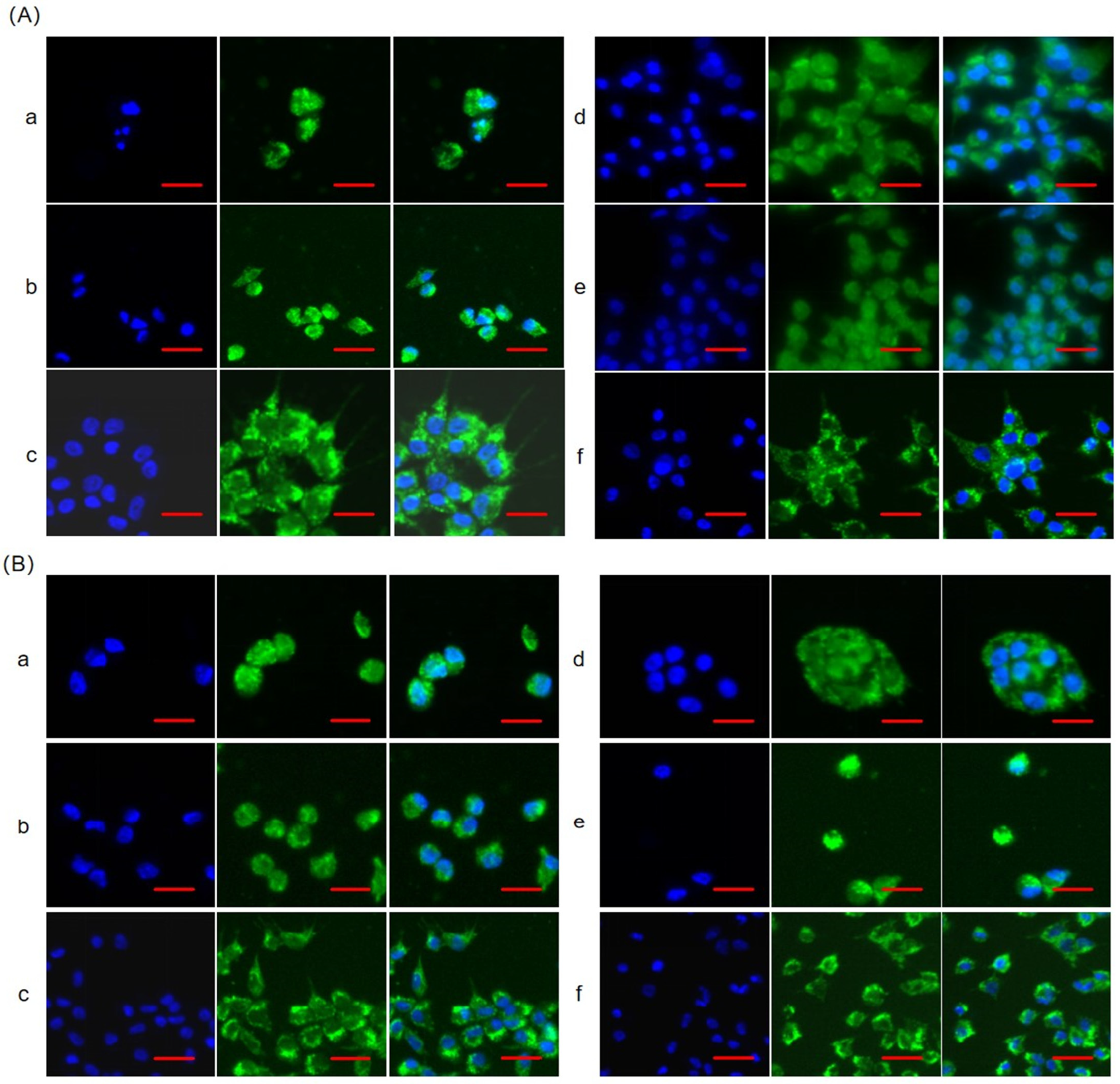 Genes 16 00283 g001