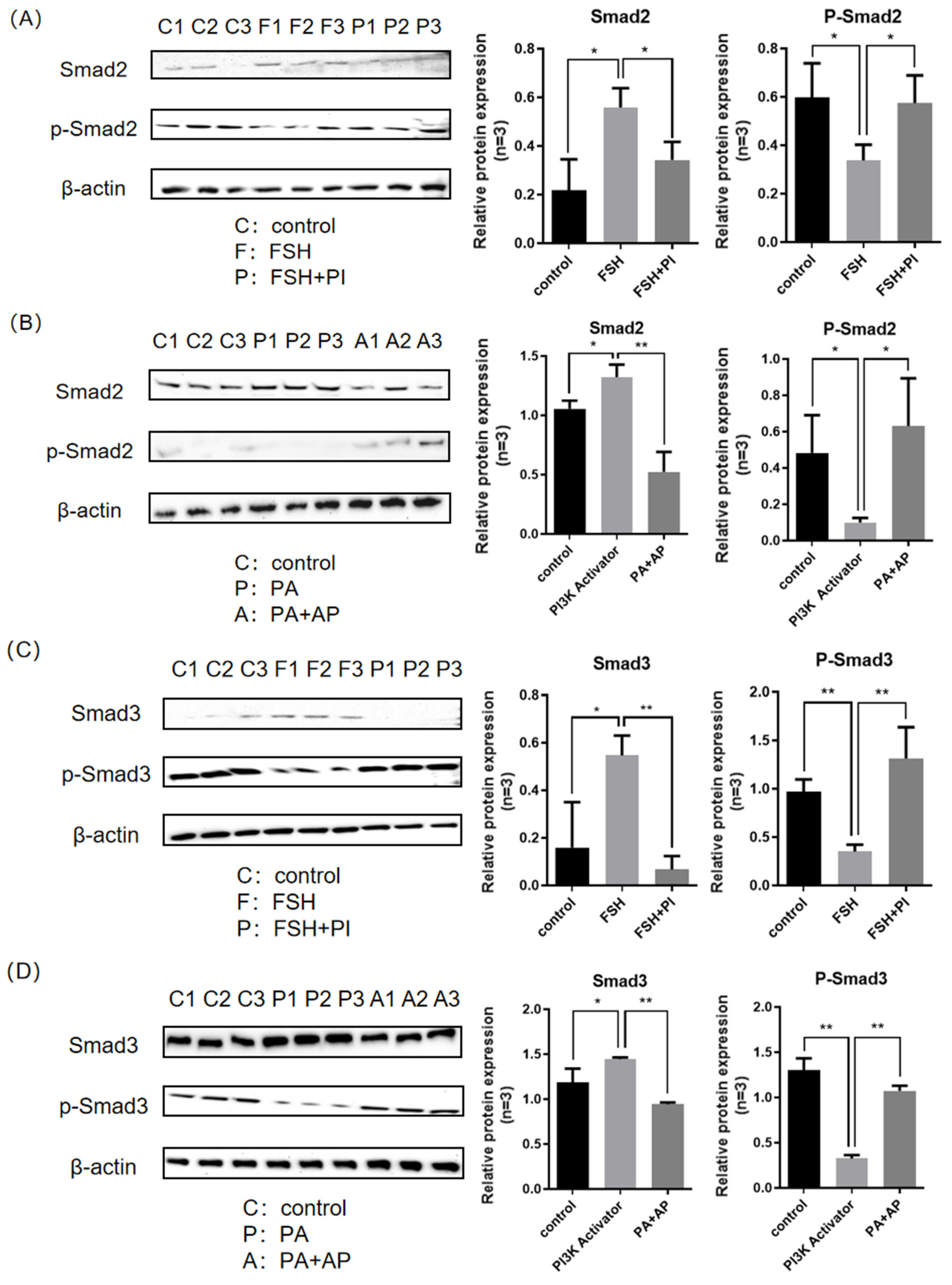 Genes 16 00283 g002