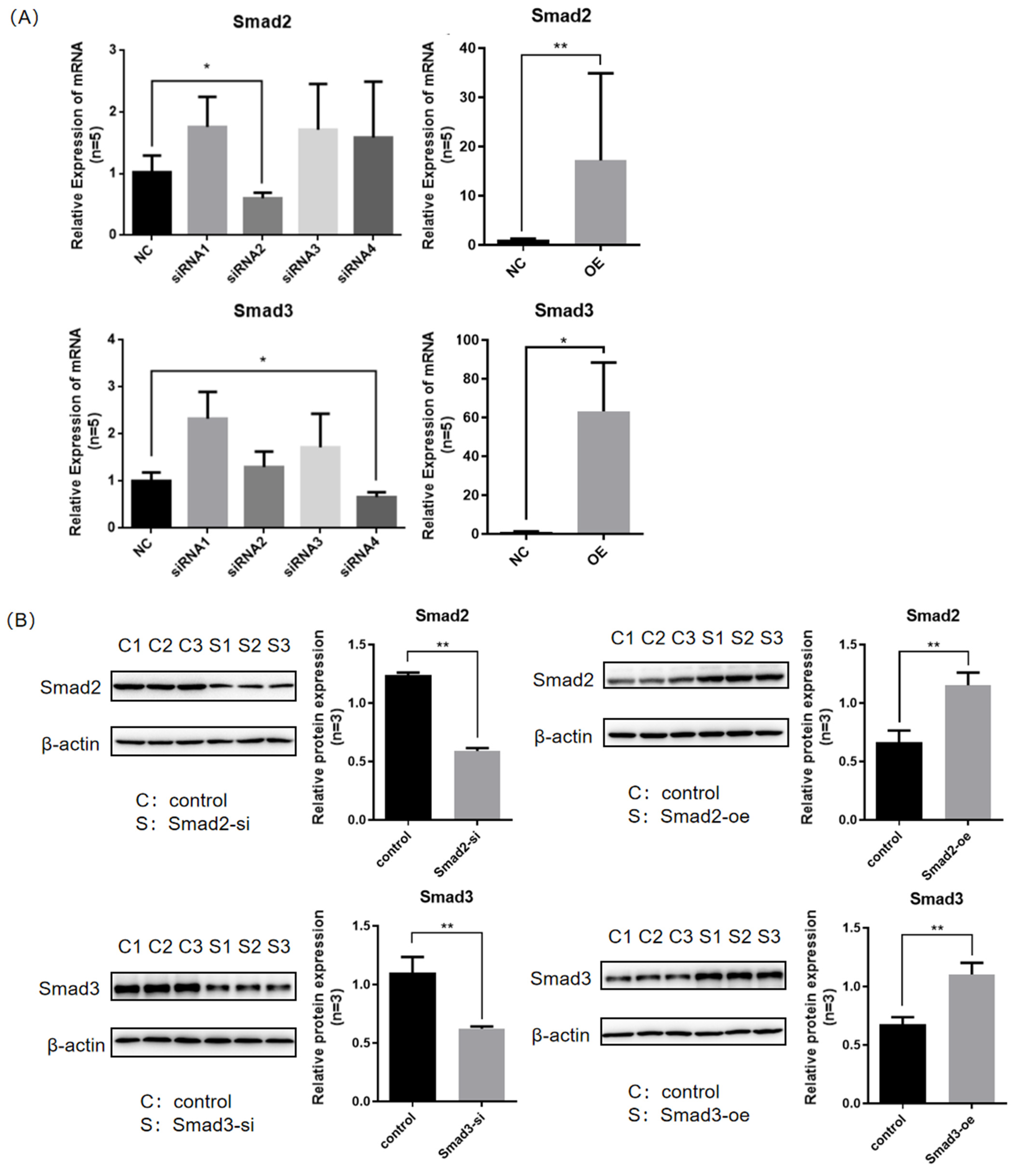 Genes 16 00283 g003