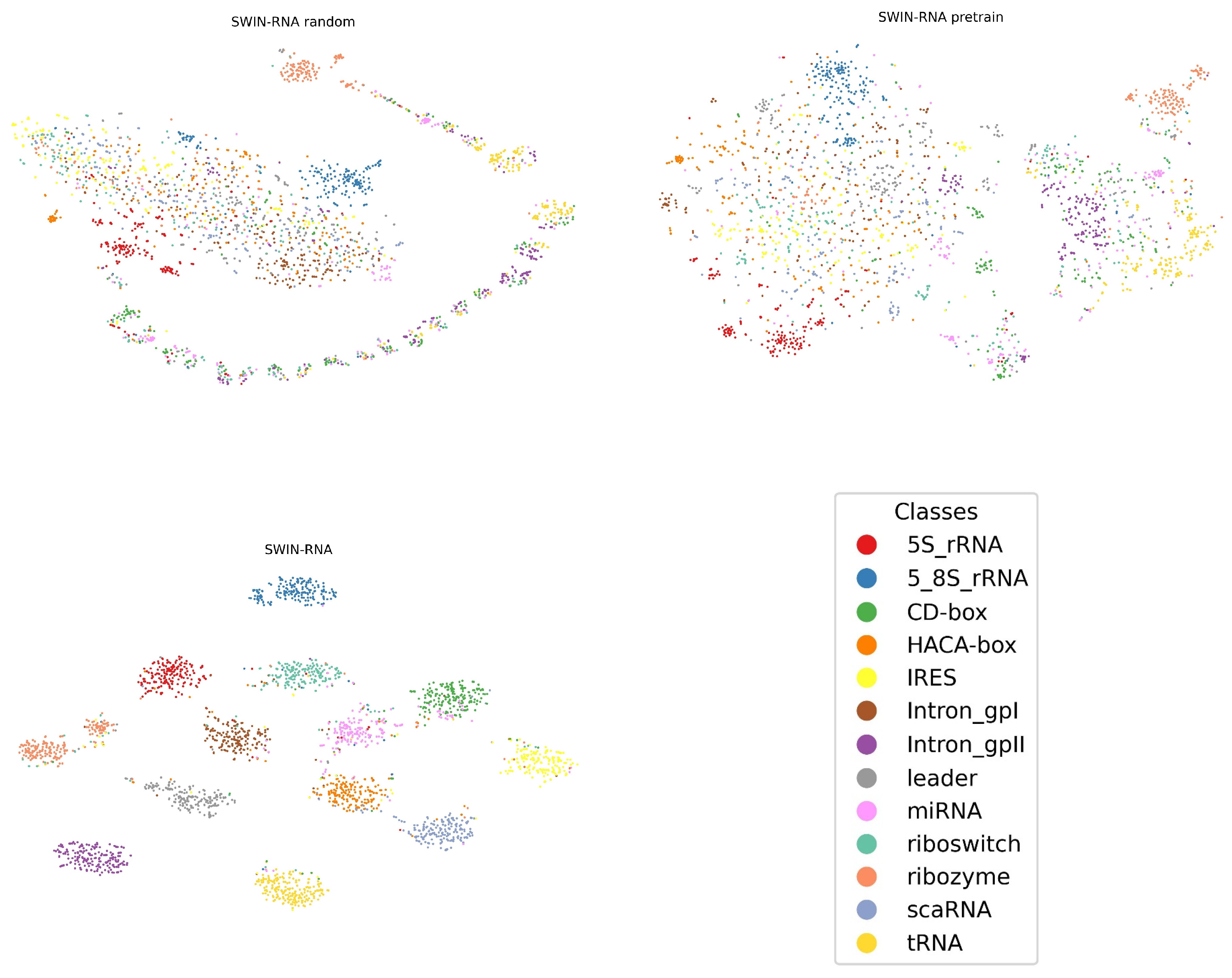 Genes 16 00284 g002 Genes 16 00284 g002