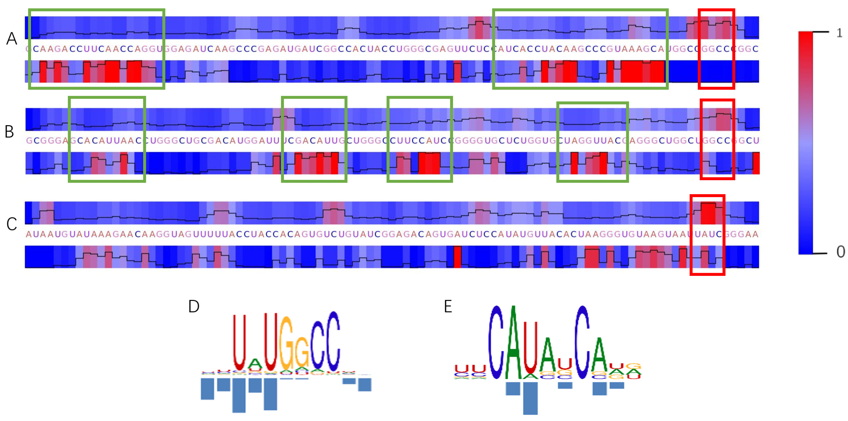 Genes 16 00284 g009 Genes 16 00284 g009