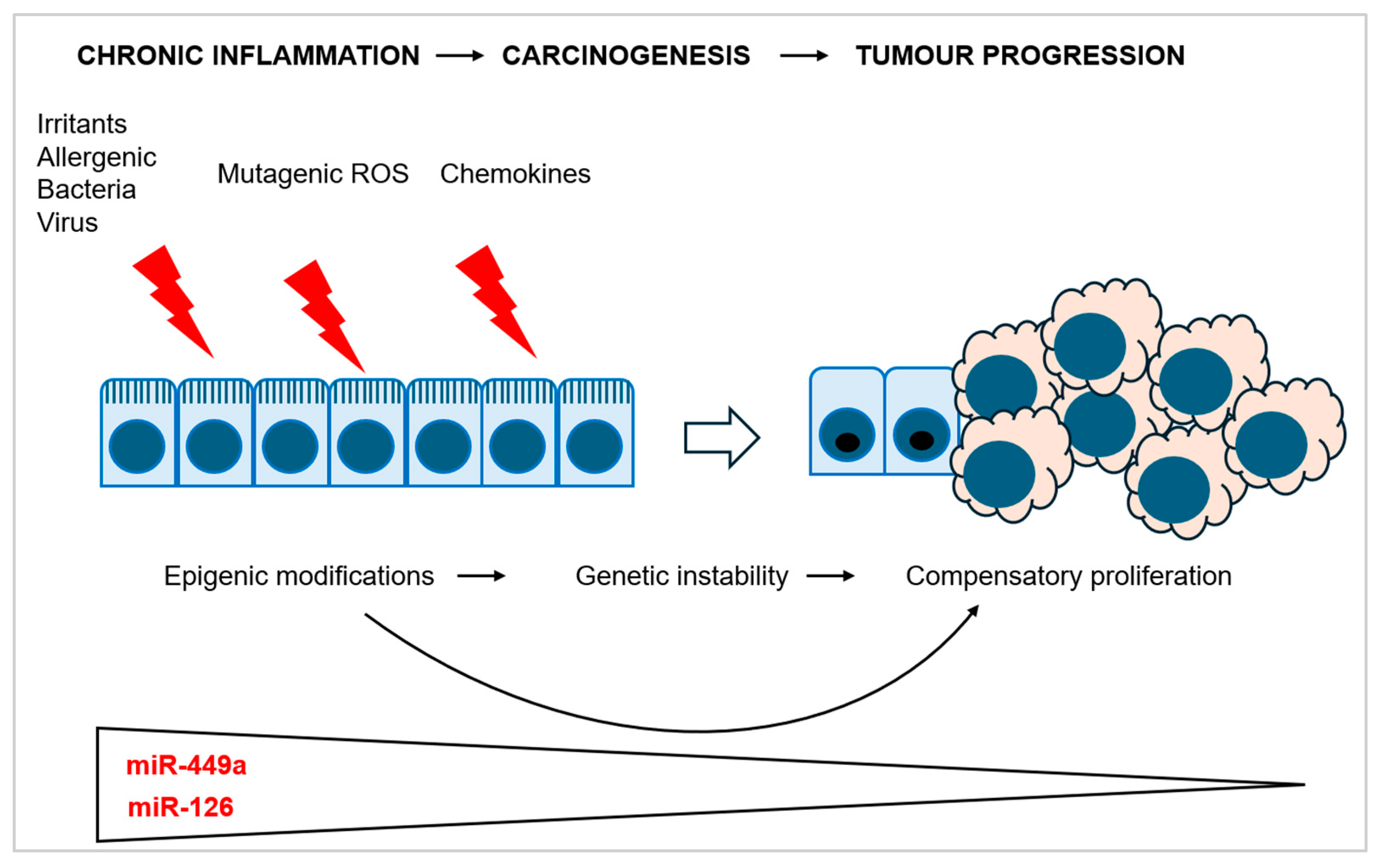 Genes 16 00295 g002