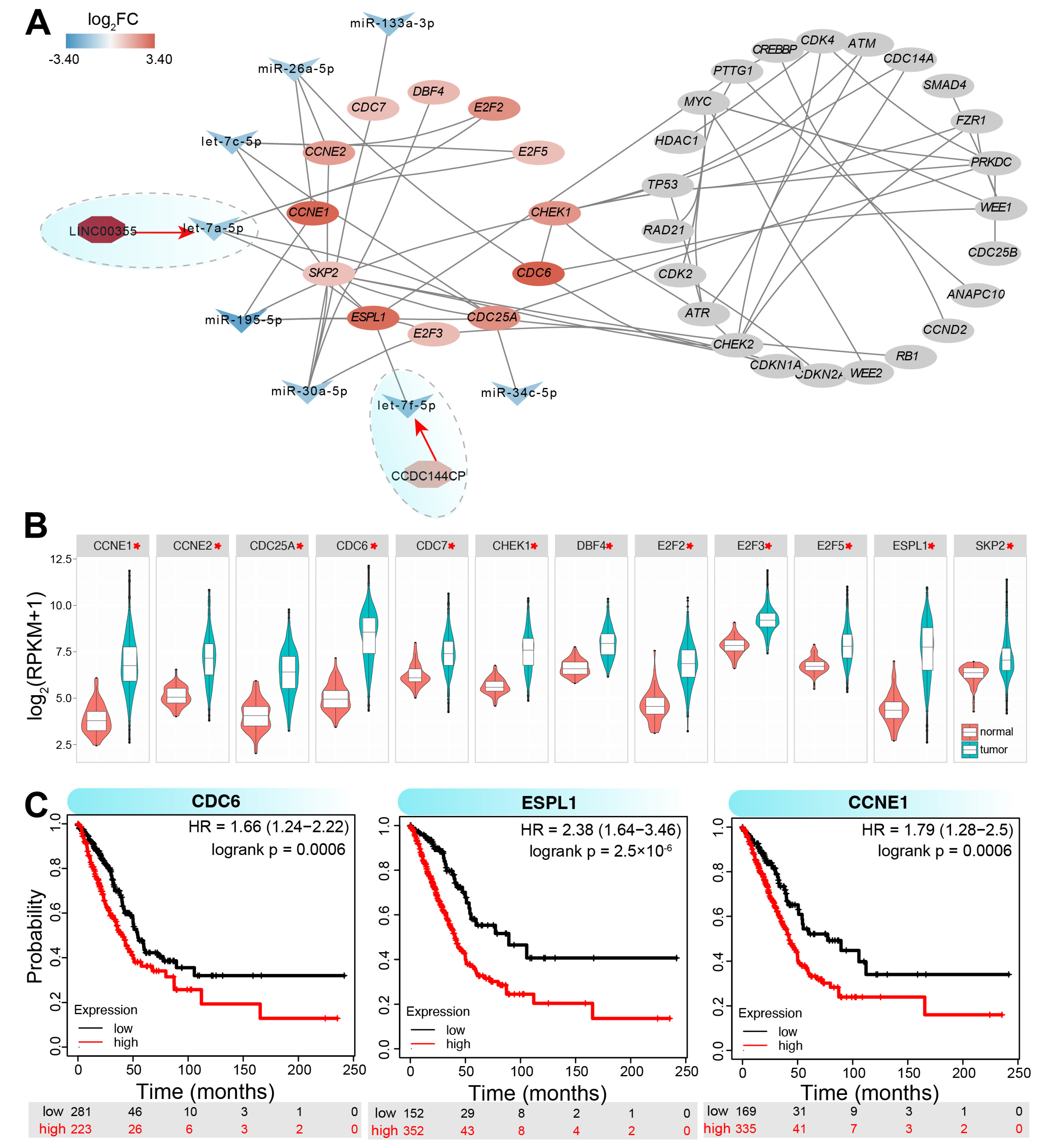 Genes 16 00310 g005