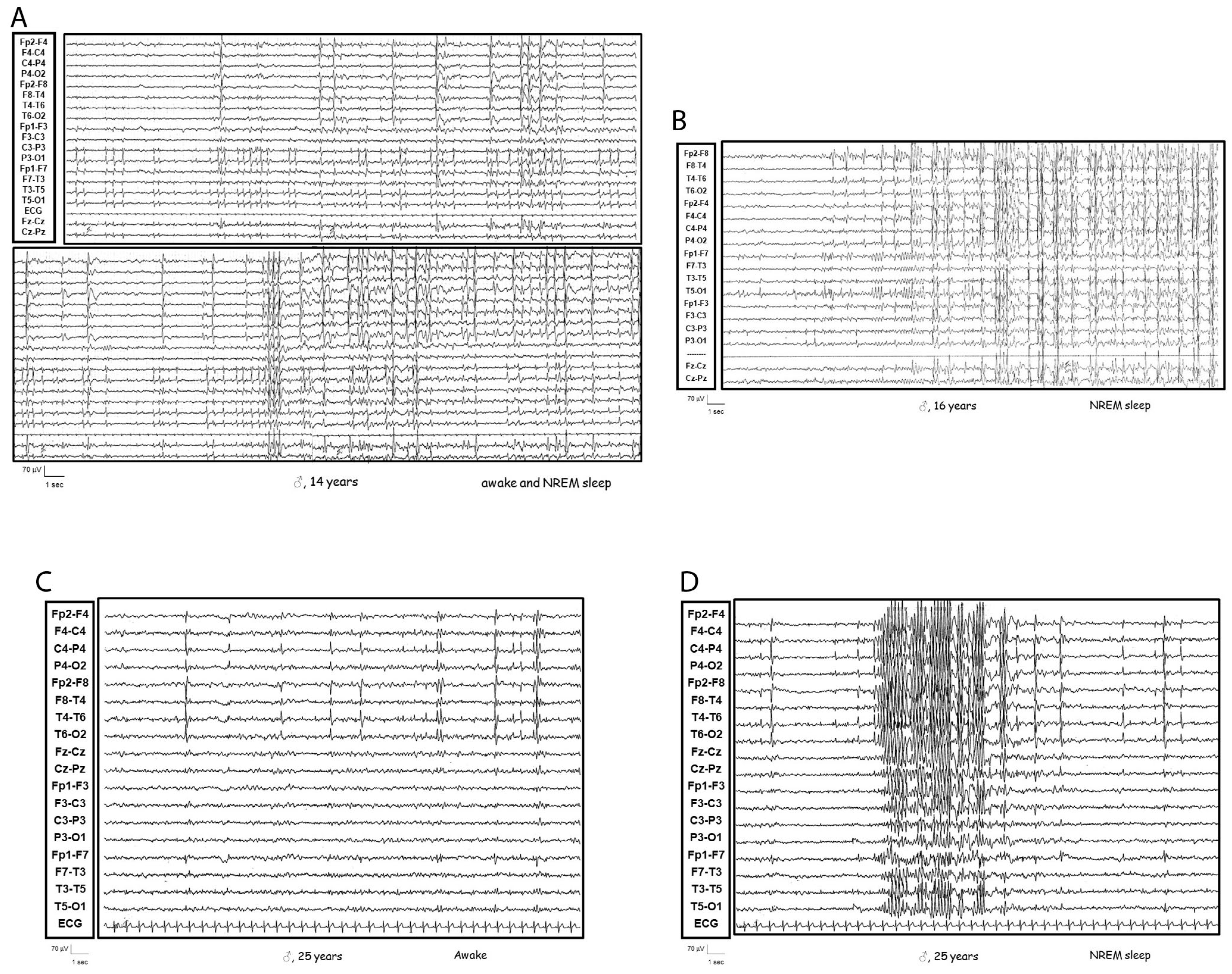 Genes 16 00323 g001 Genes 16 00323 g001