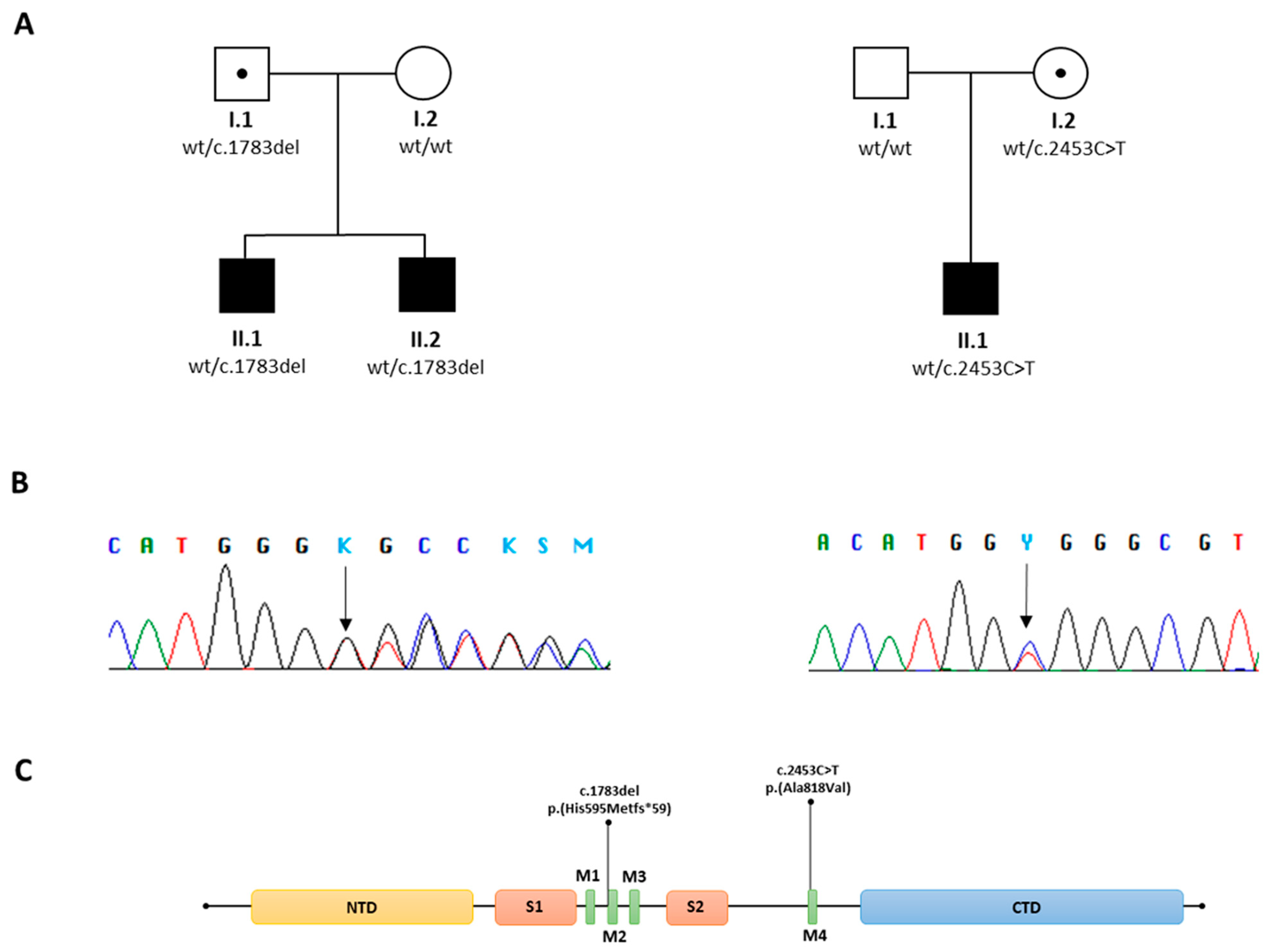 Genes 16 00323 g003 Genes 16 00323 g003