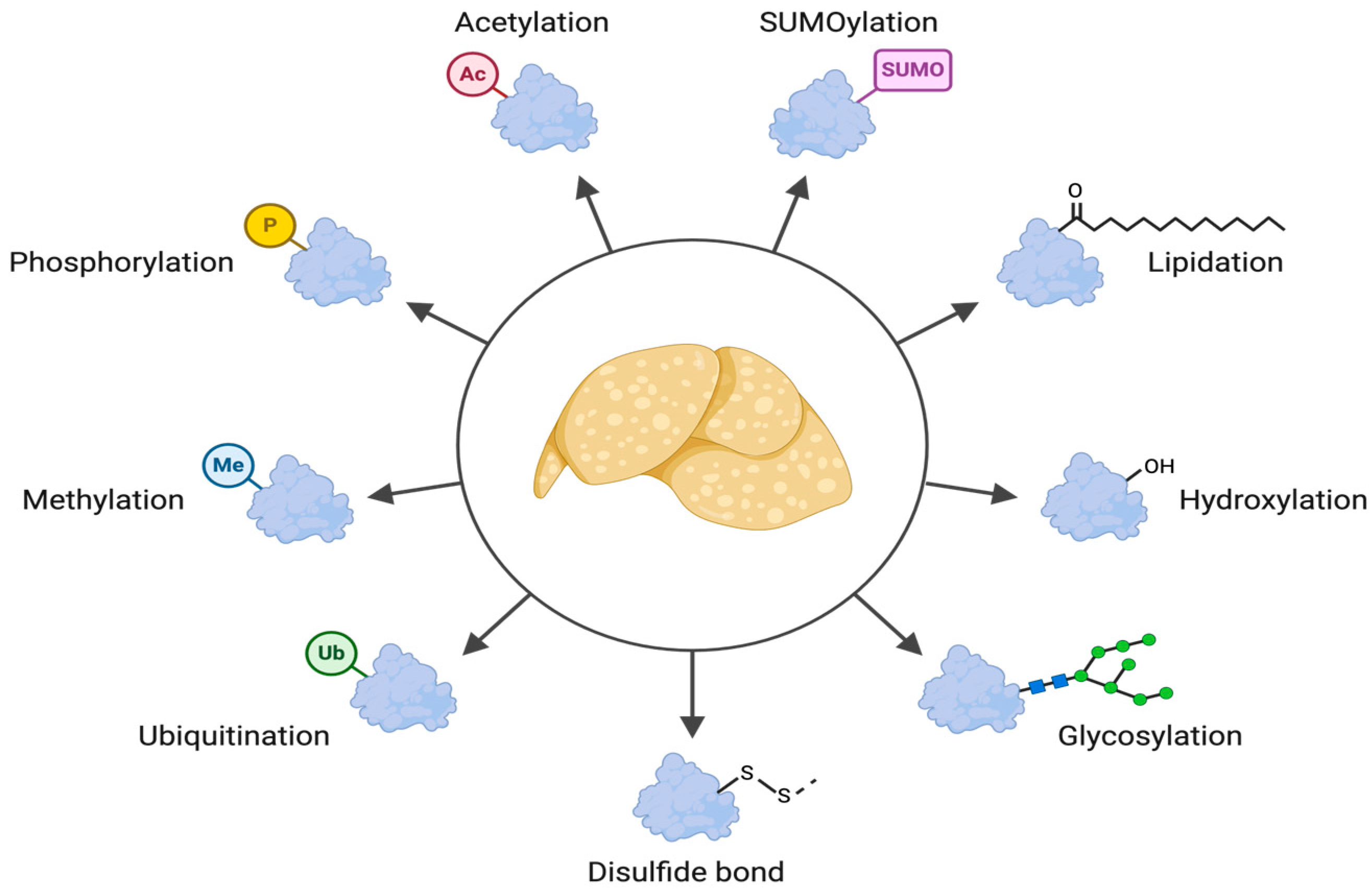 Genes 16 00334 g001 Genes 16 00334 g001