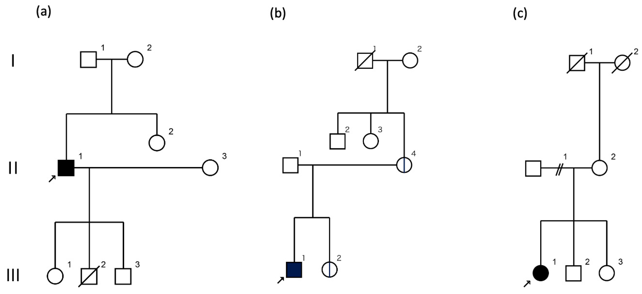 Genes 16 00335 g001 Genes 16 00335 g001