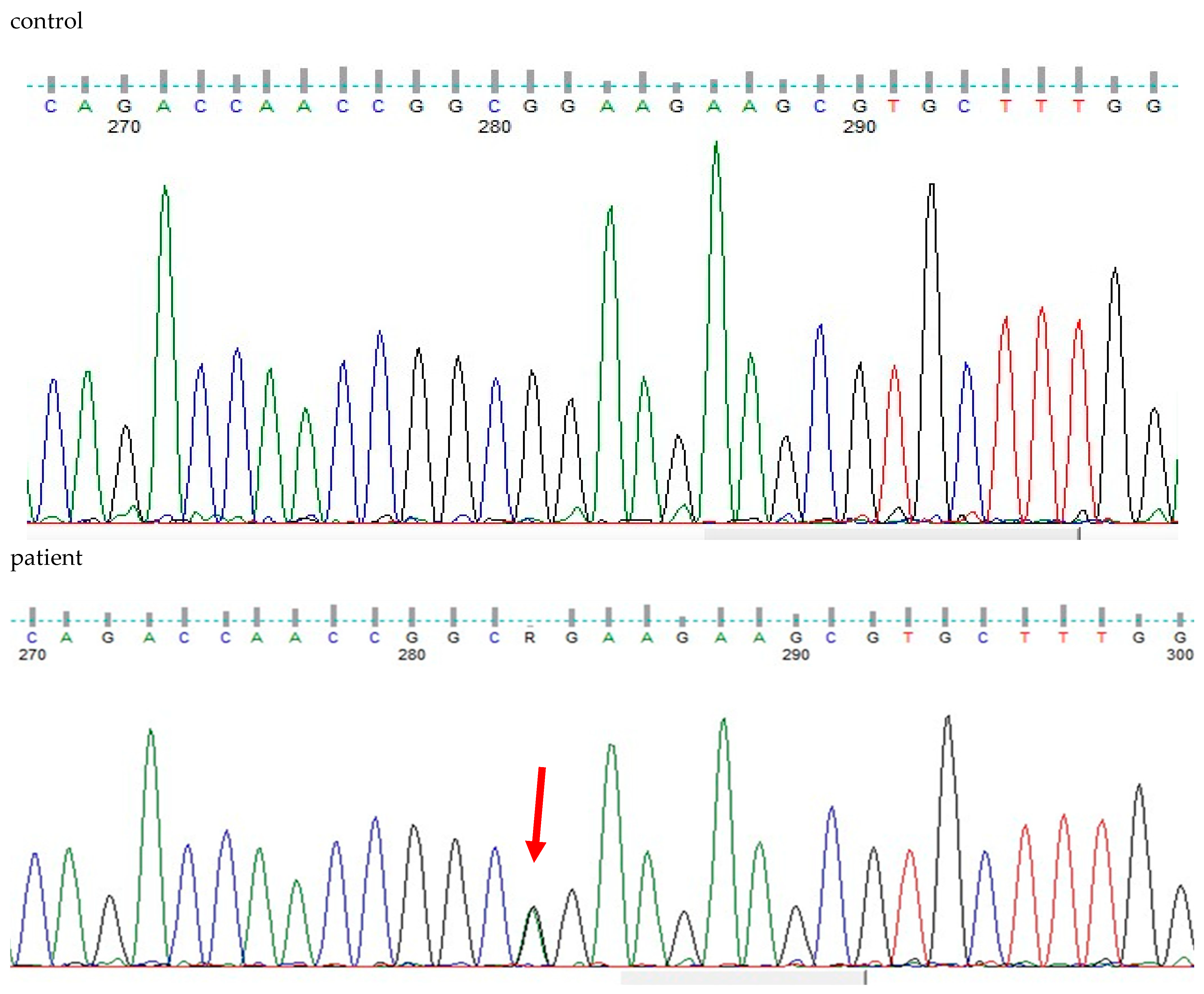 Genes 16 00357 g005 Genes 16 00357 g005