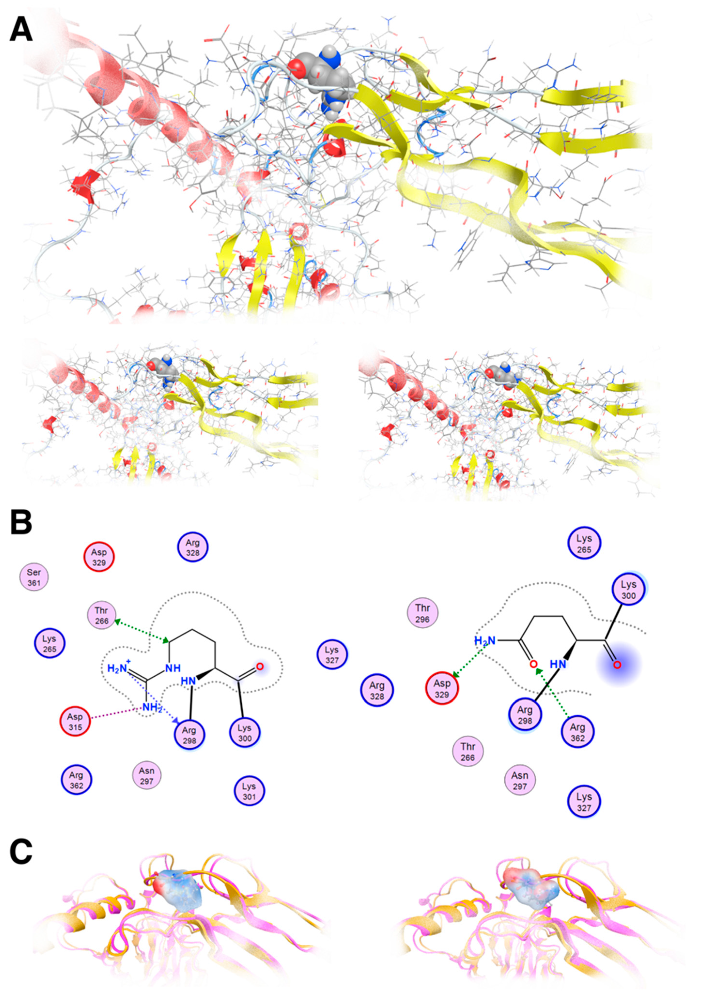 Genes 16 00357 g006 Genes 16 00357 g006
