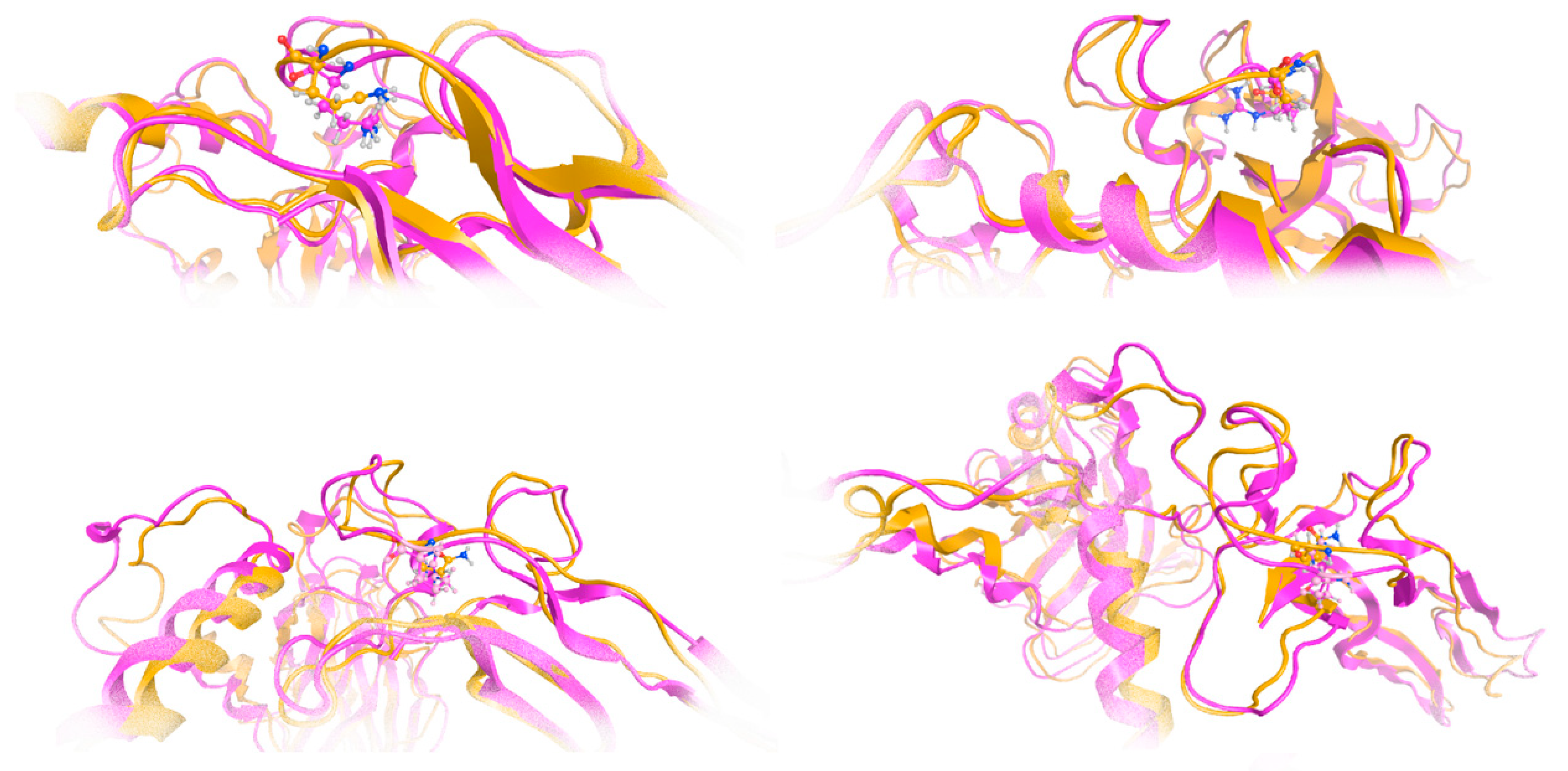 Genes 16 00357 g007 Genes 16 00357 g007