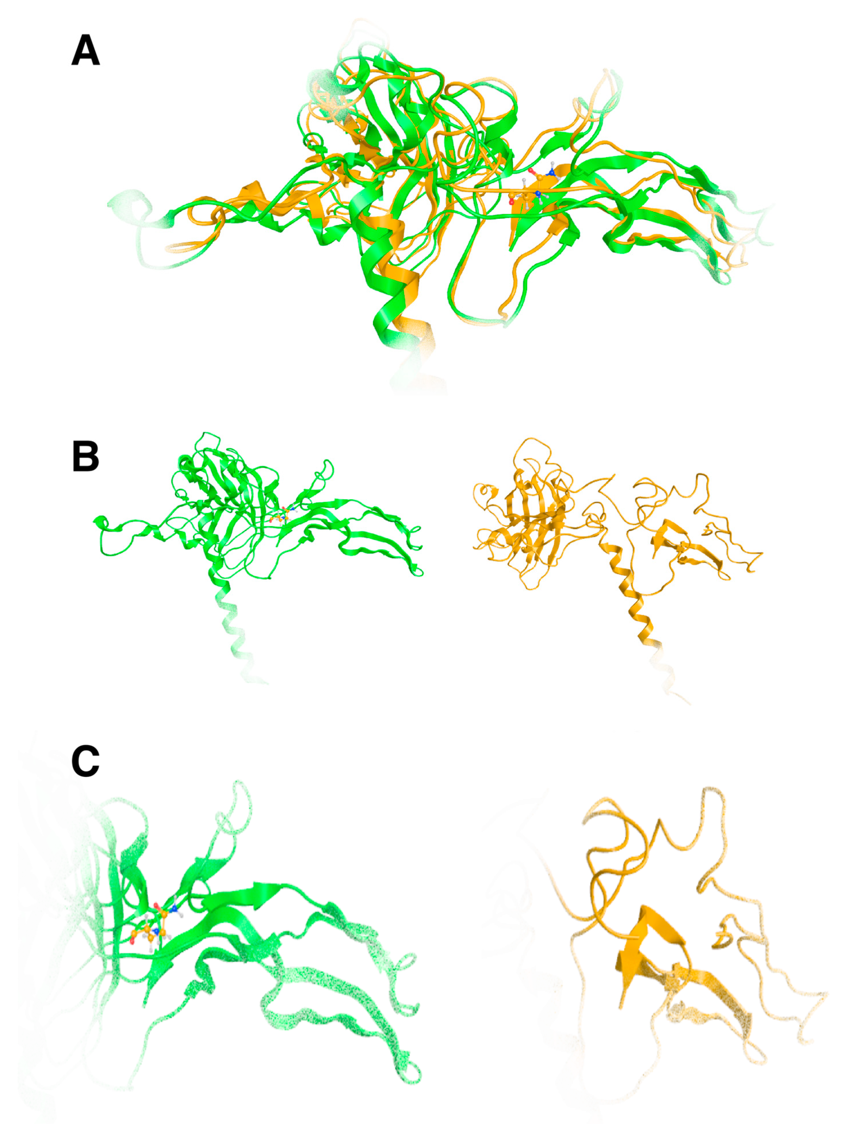 Genes 16 00357 g008 Genes 16 00357 g008