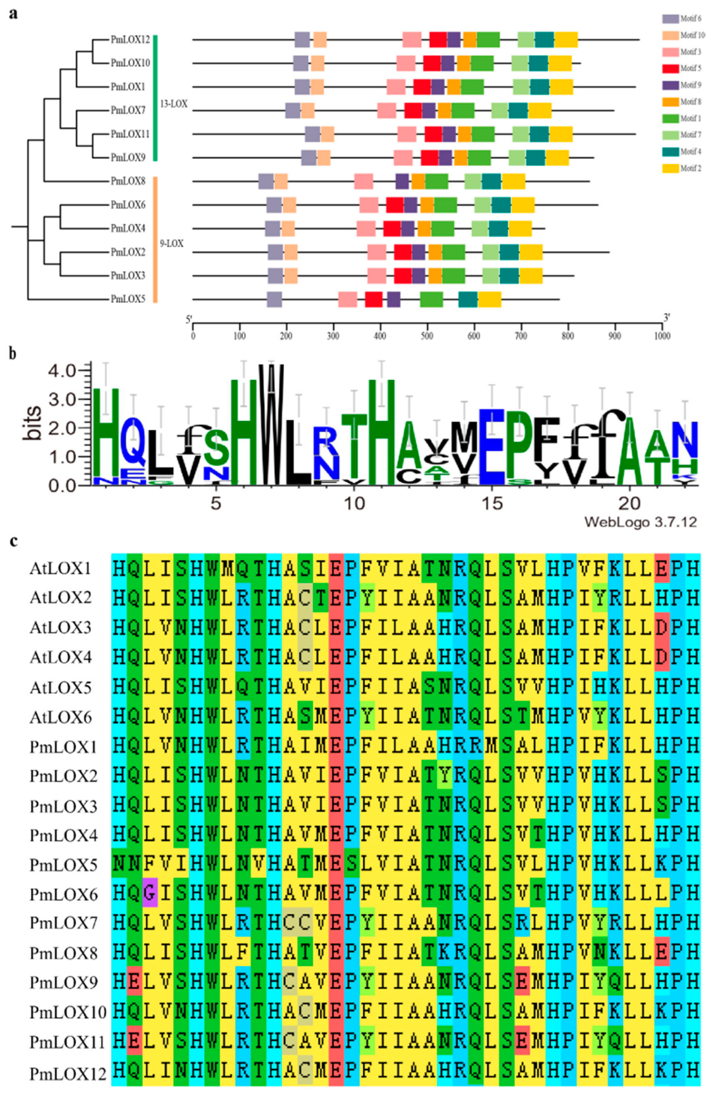 Genes 16 00368 g003