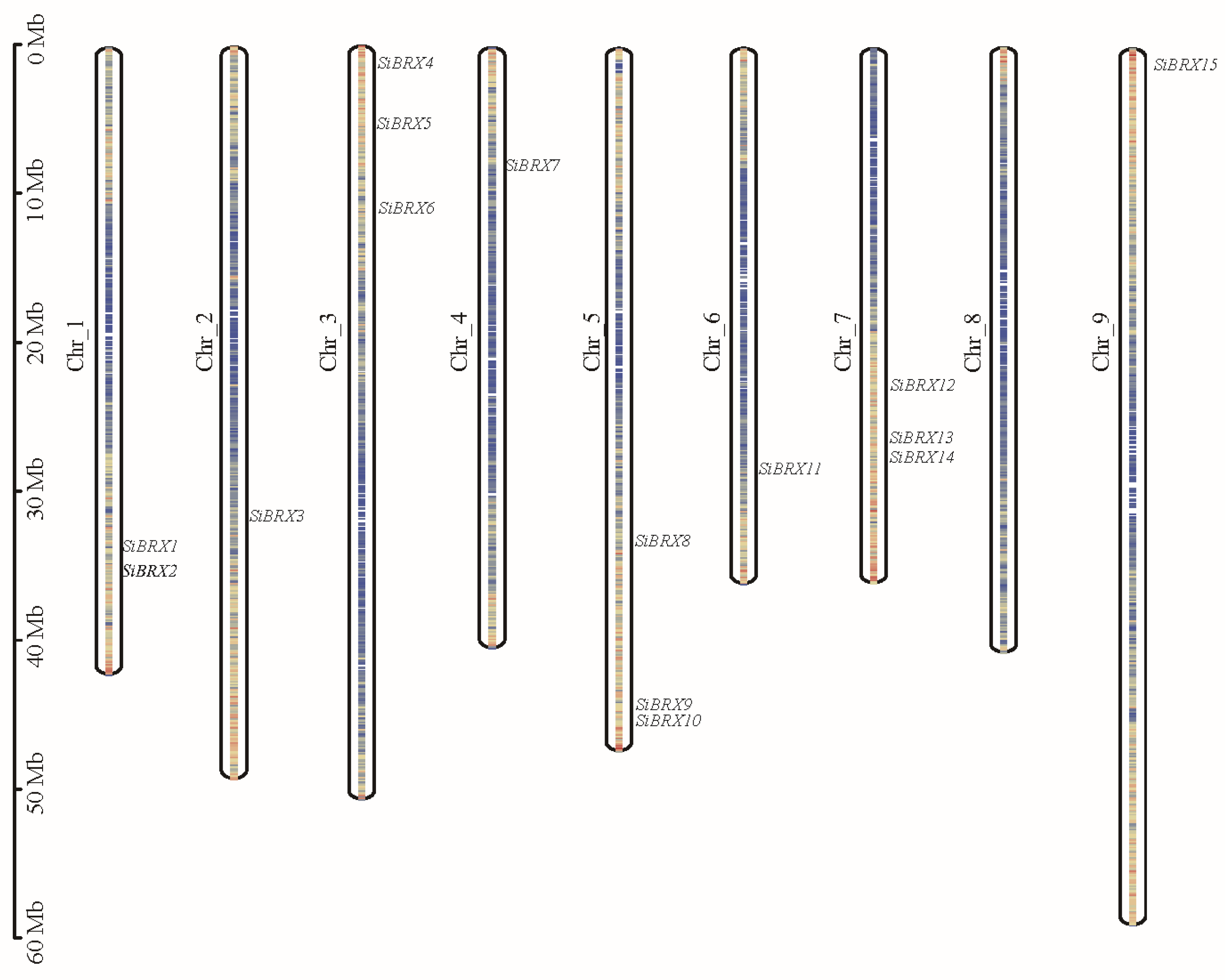 Genes 16 00374 g001 Genes 16 00374 g001