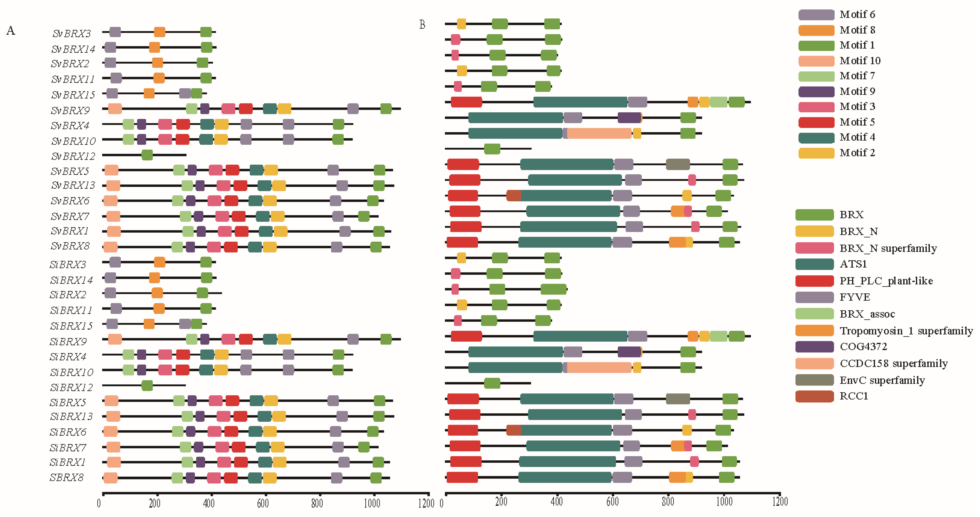 Genes 16 00374 g003 Genes 16 00374 g003