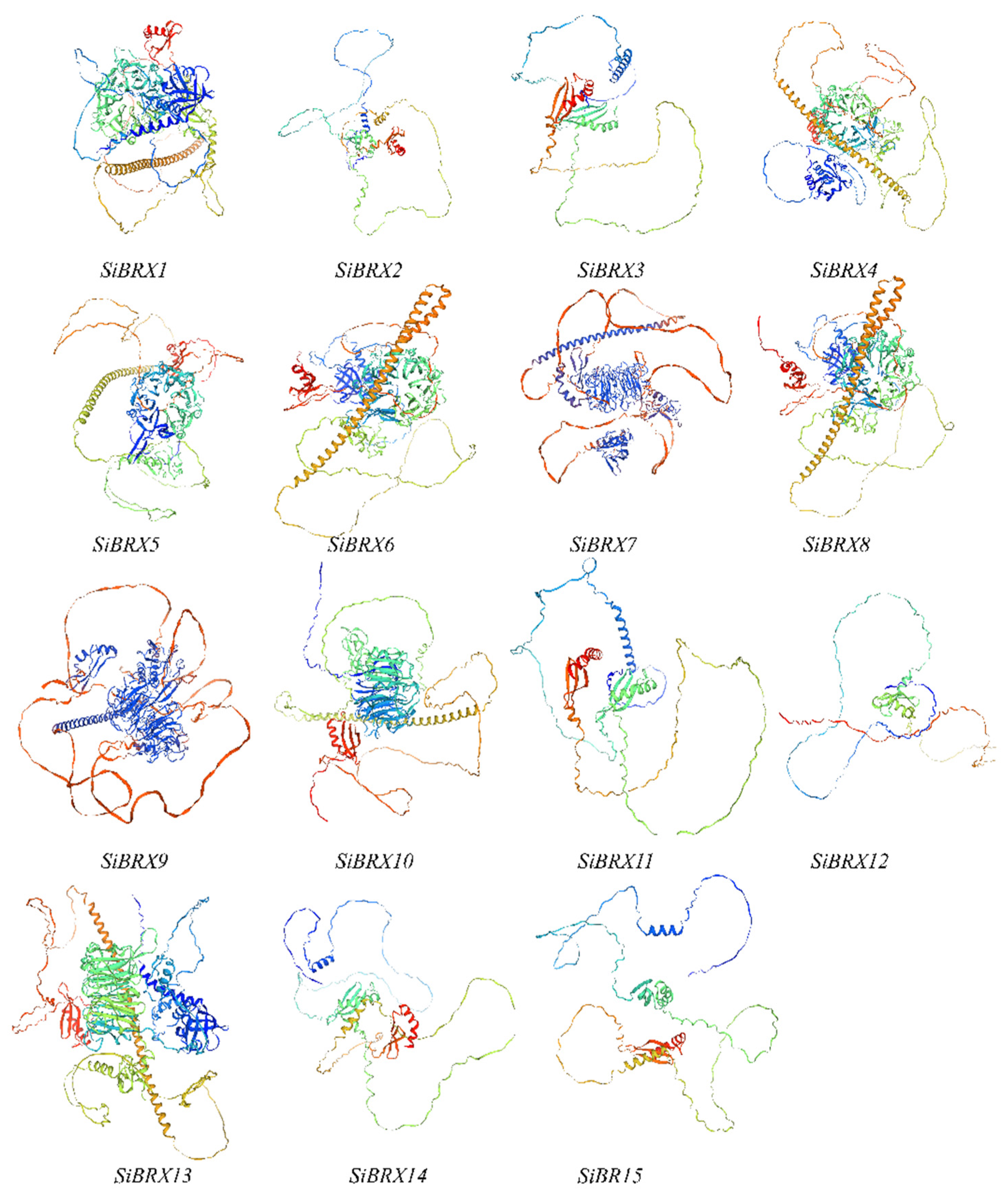 Genes 16 00374 g004 Genes 16 00374 g004
