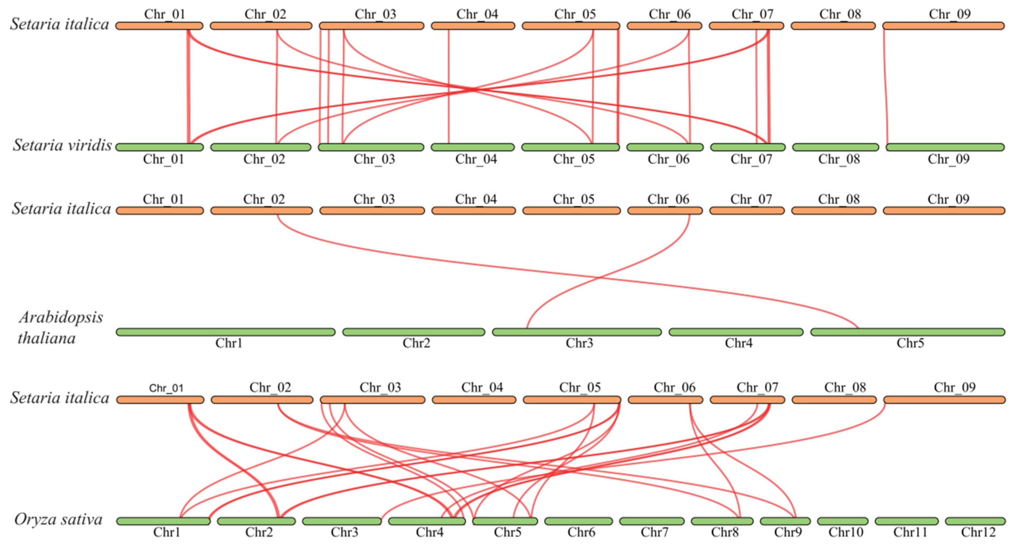 Genes 16 00374 g005 Genes 16 00374 g005