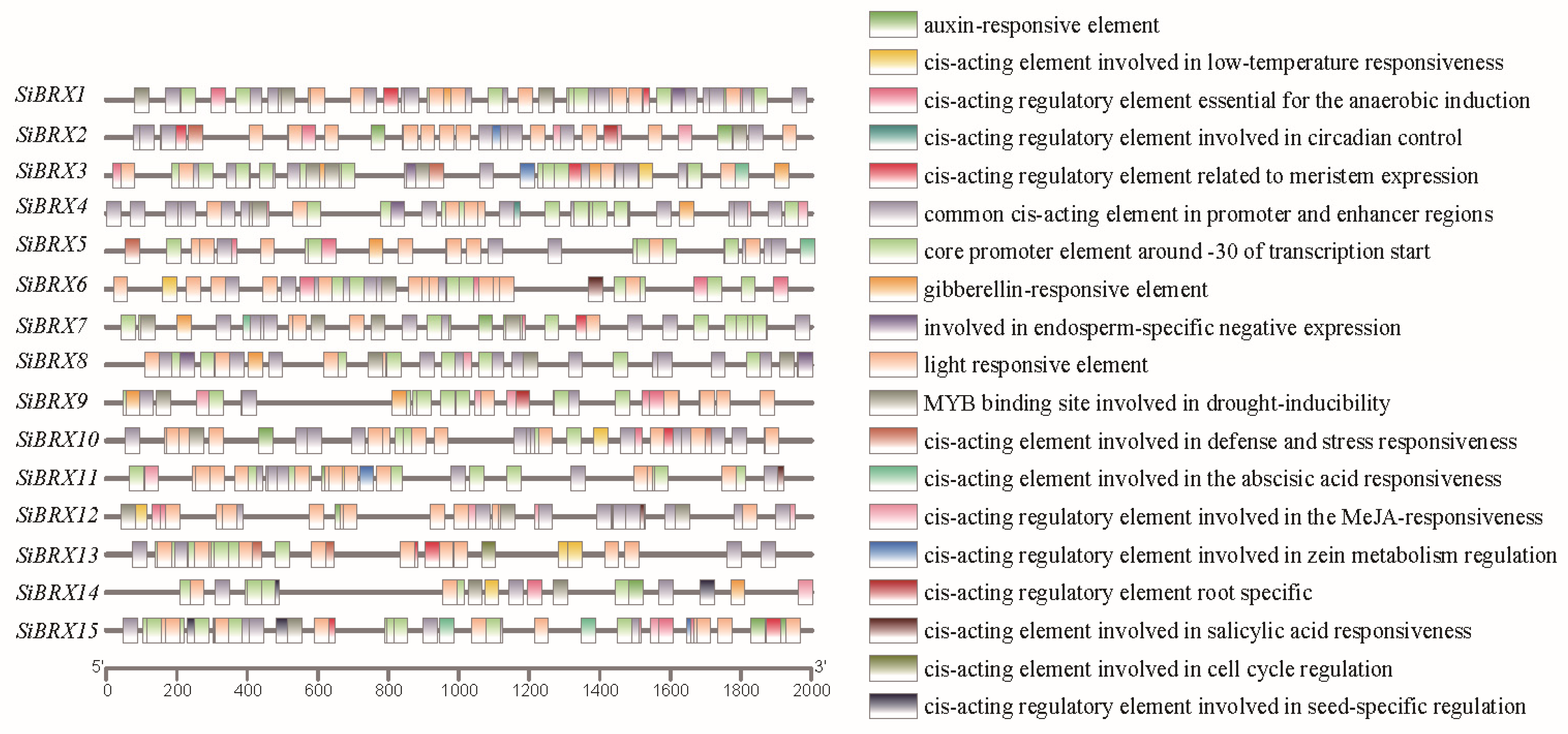 Genes 16 00374 g006 Genes 16 00374 g006