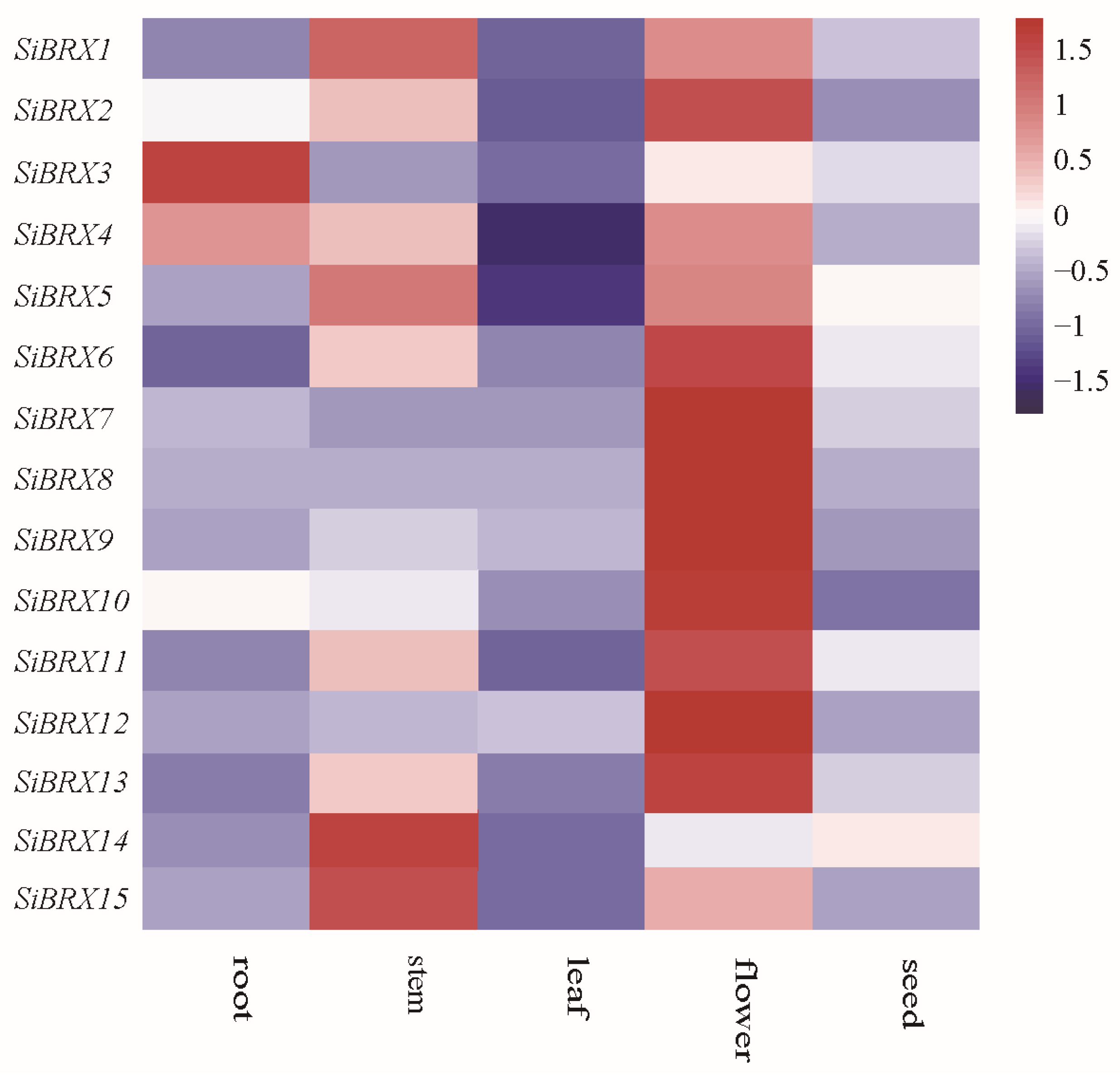 Genes 16 00374 g007 Genes 16 00374 g007