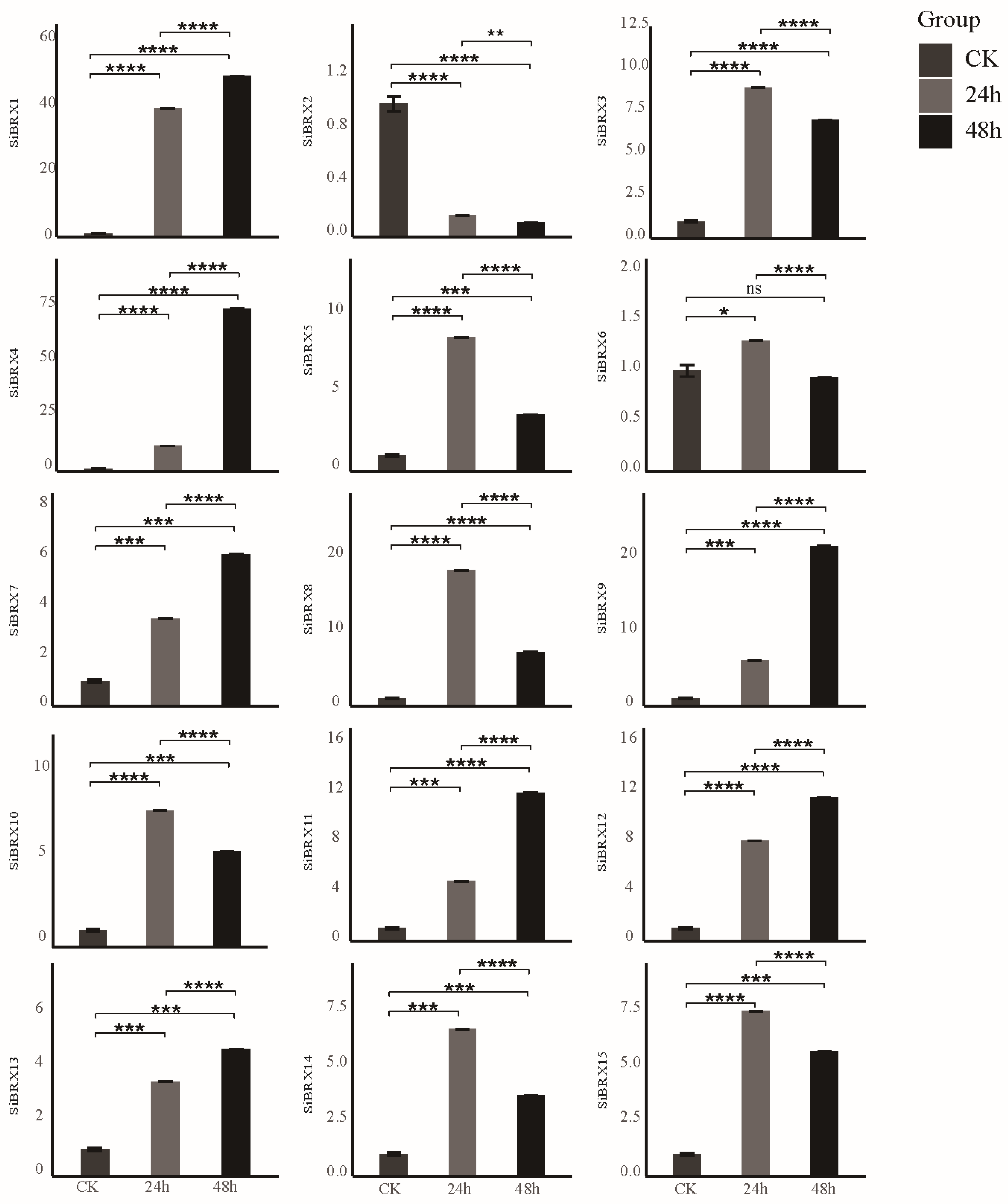 Genes 16 00374 g008 Genes 16 00374 g008