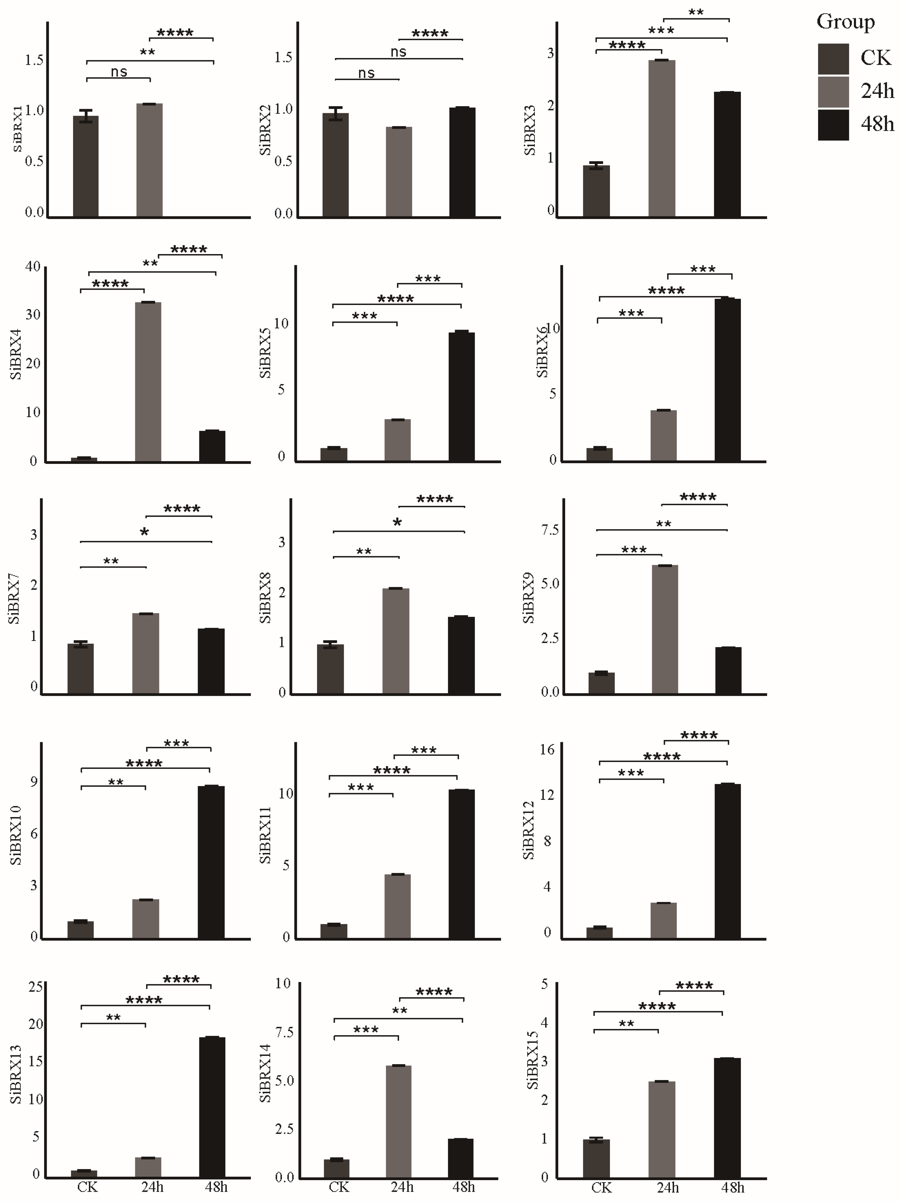 Genes 16 00374 g009 Genes 16 00374 g009