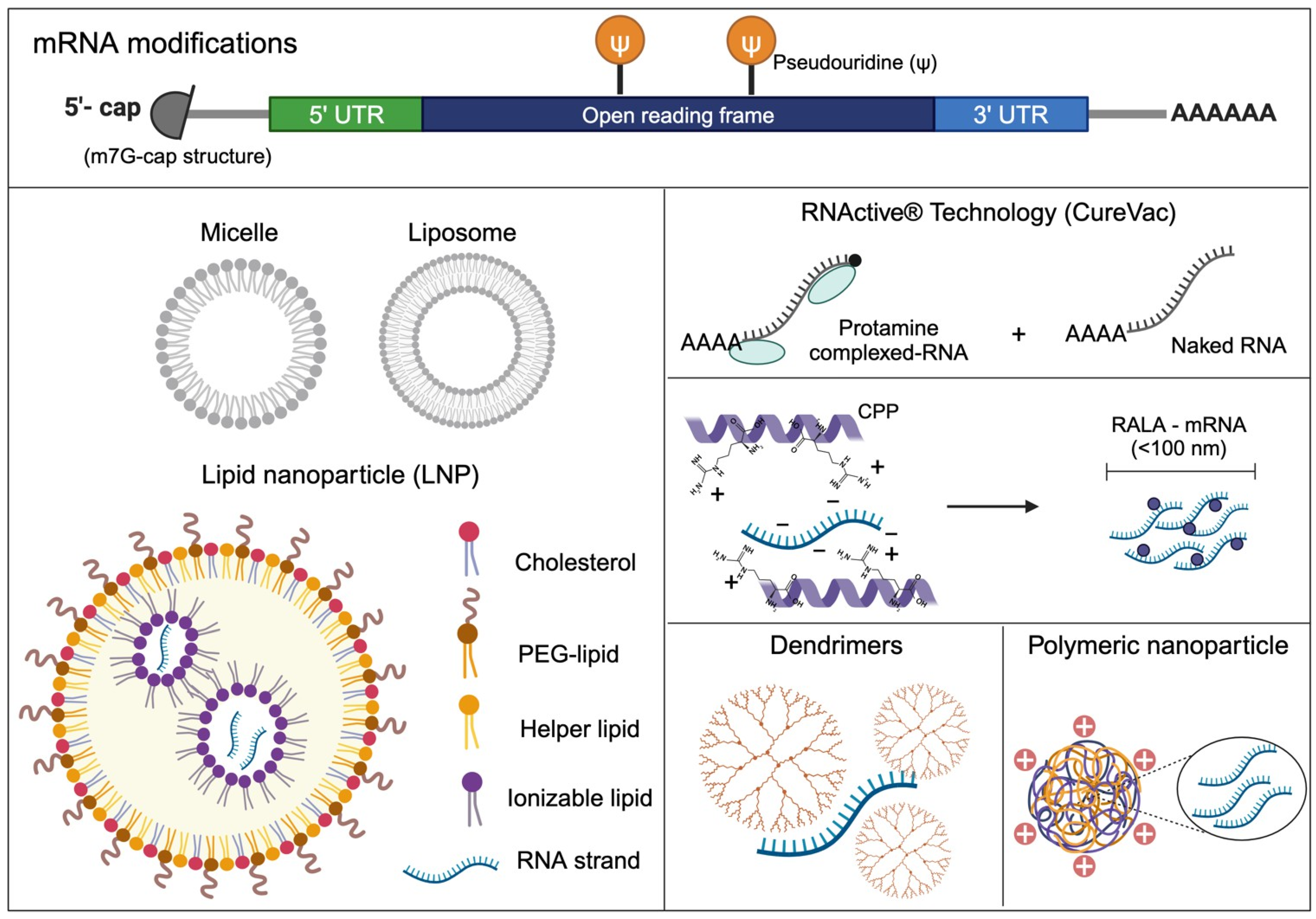 Genes 16 00376 g002